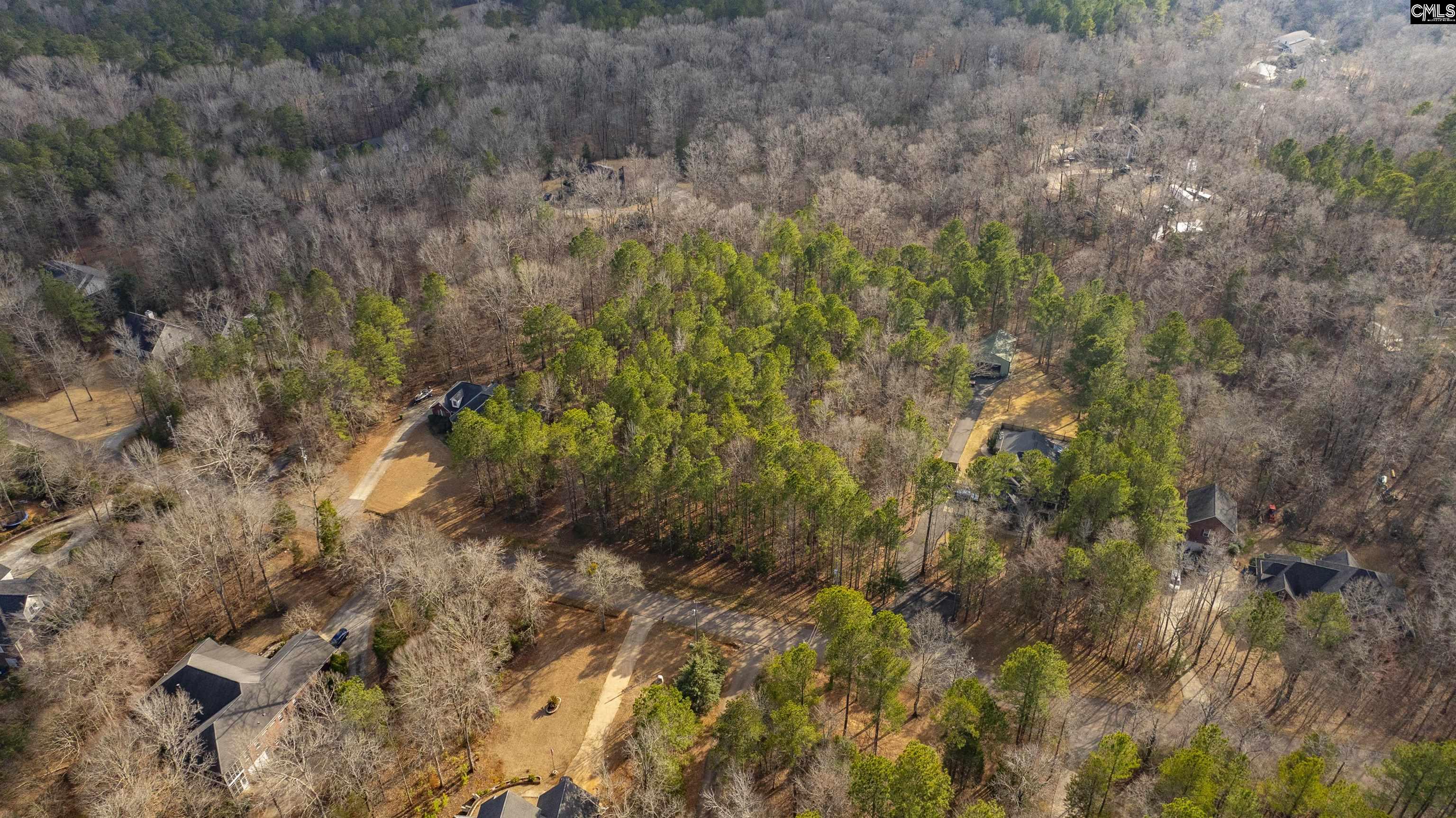 370 Bookman Mill Road, Irmo, South Carolina image 6