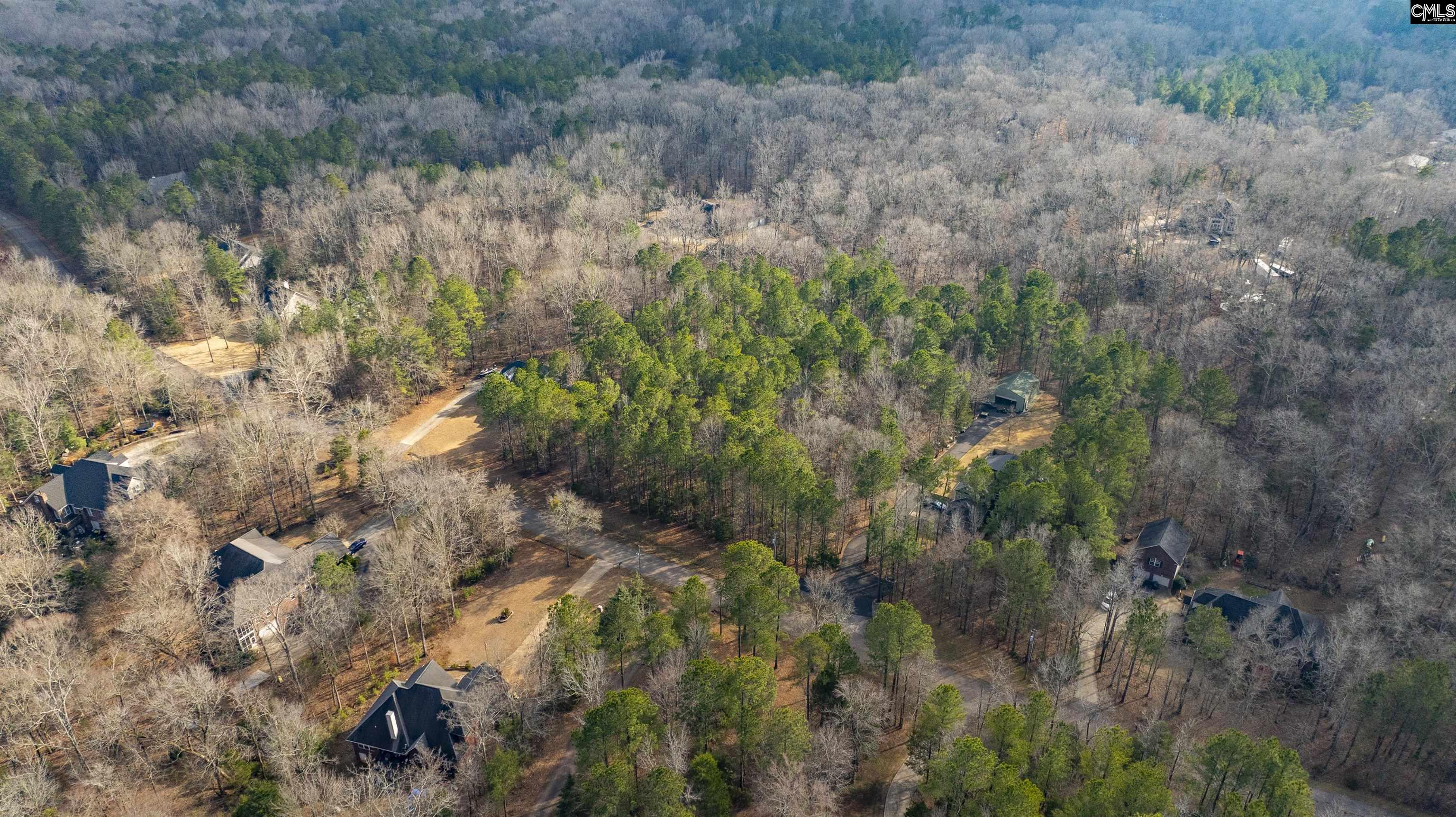 370 Bookman Mill Road, Irmo, South Carolina image 7