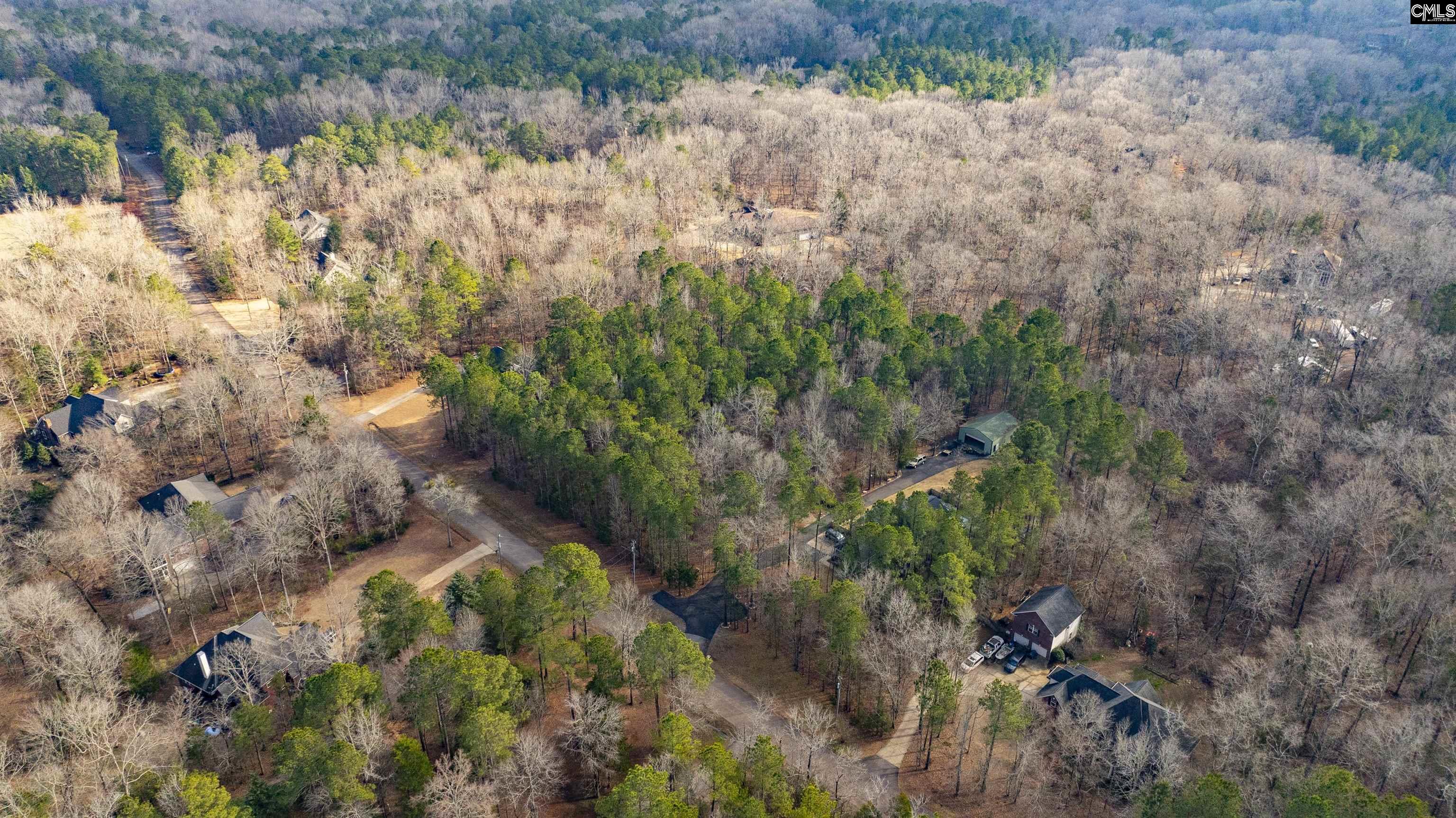 370 Bookman Mill Road, Irmo, South Carolina image 8