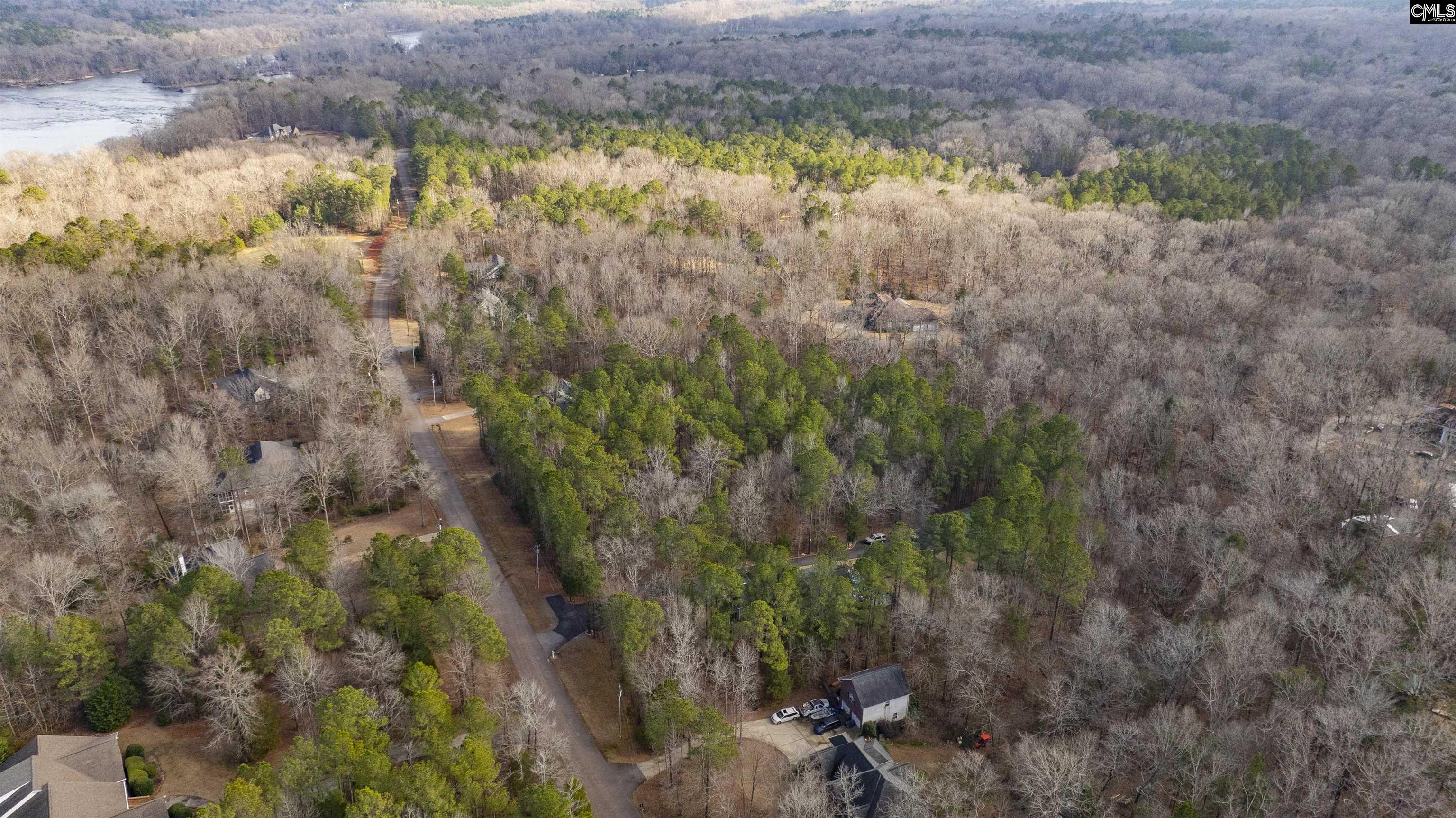370 Bookman Mill Road, Irmo, South Carolina image 9