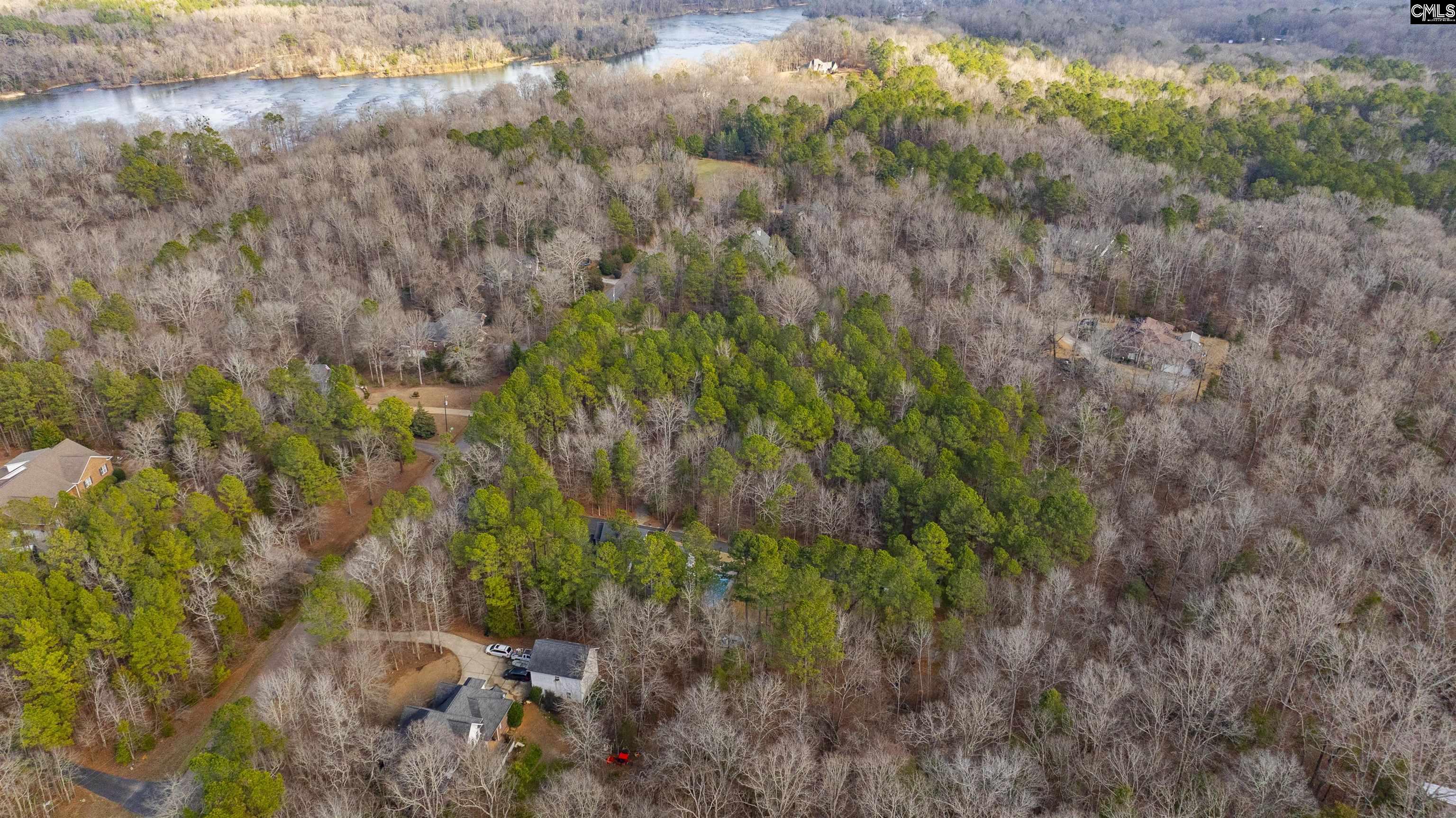 370 Bookman Mill Road, Irmo, South Carolina image 10