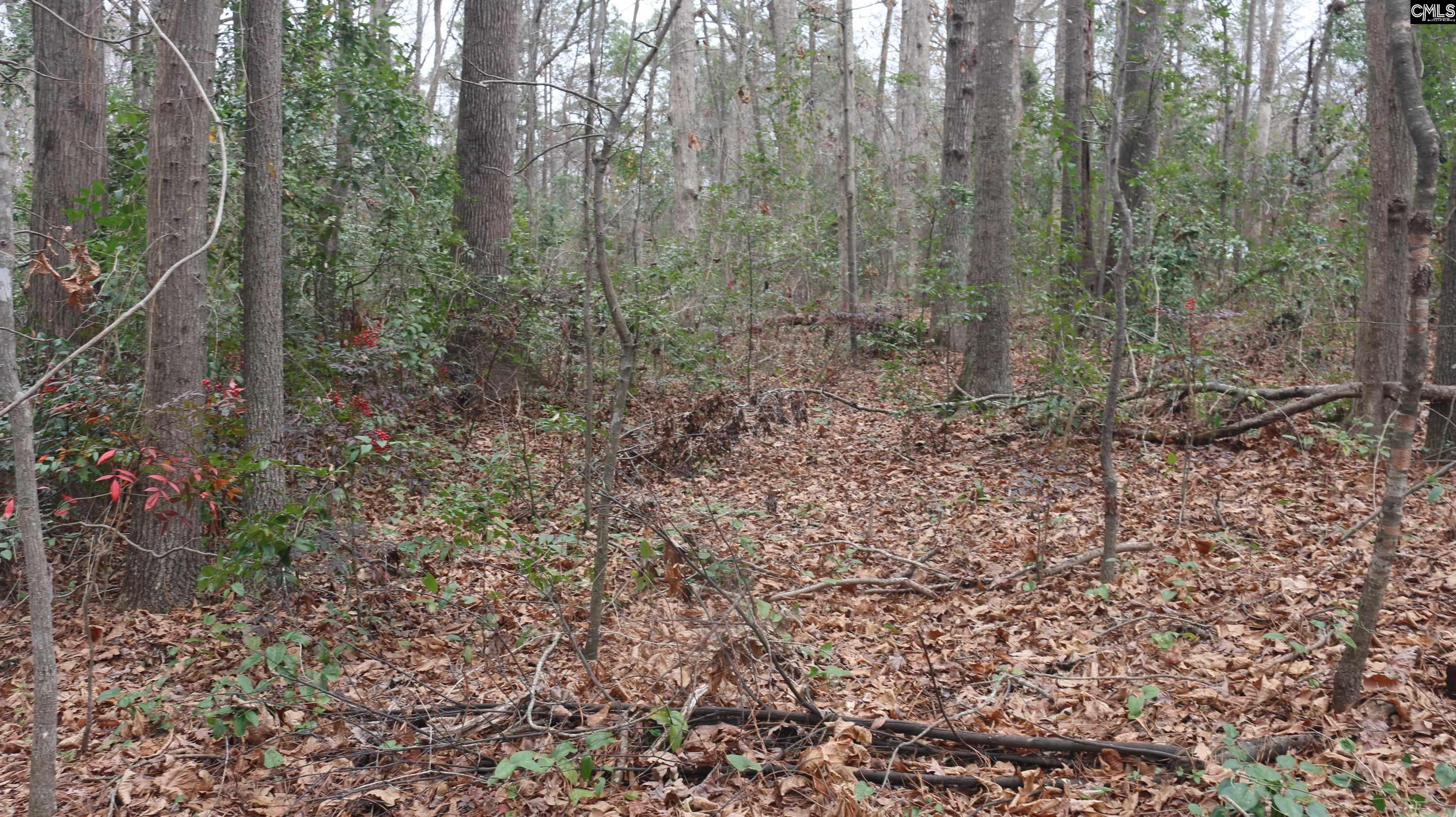 291 Big Timber Drive Unit #16 Lexington, SC 29073