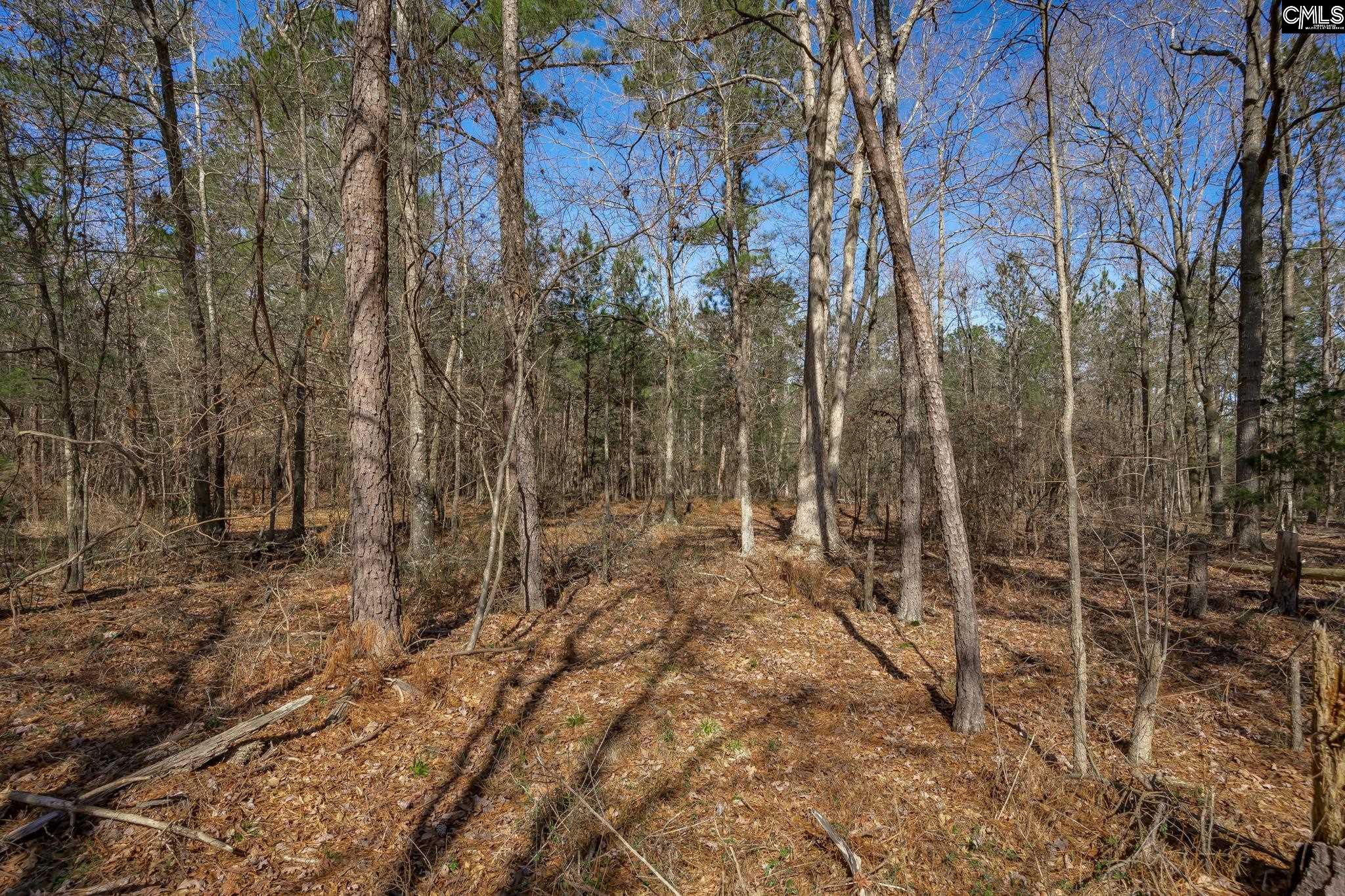 1353 Old Duncan Road, Leesville, South Carolina image 29
