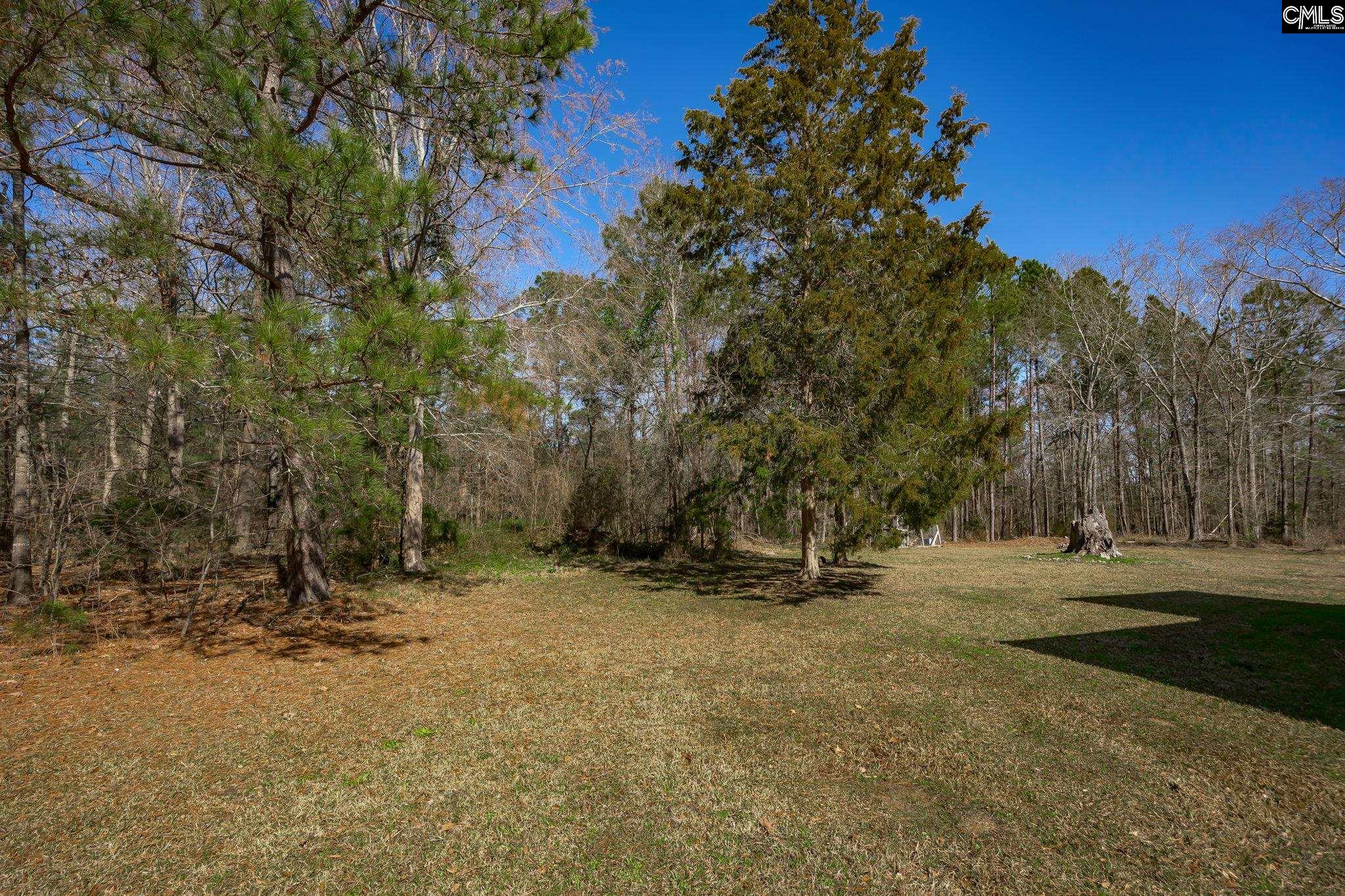 1353 Old Duncan Road, Leesville, South Carolina image 30