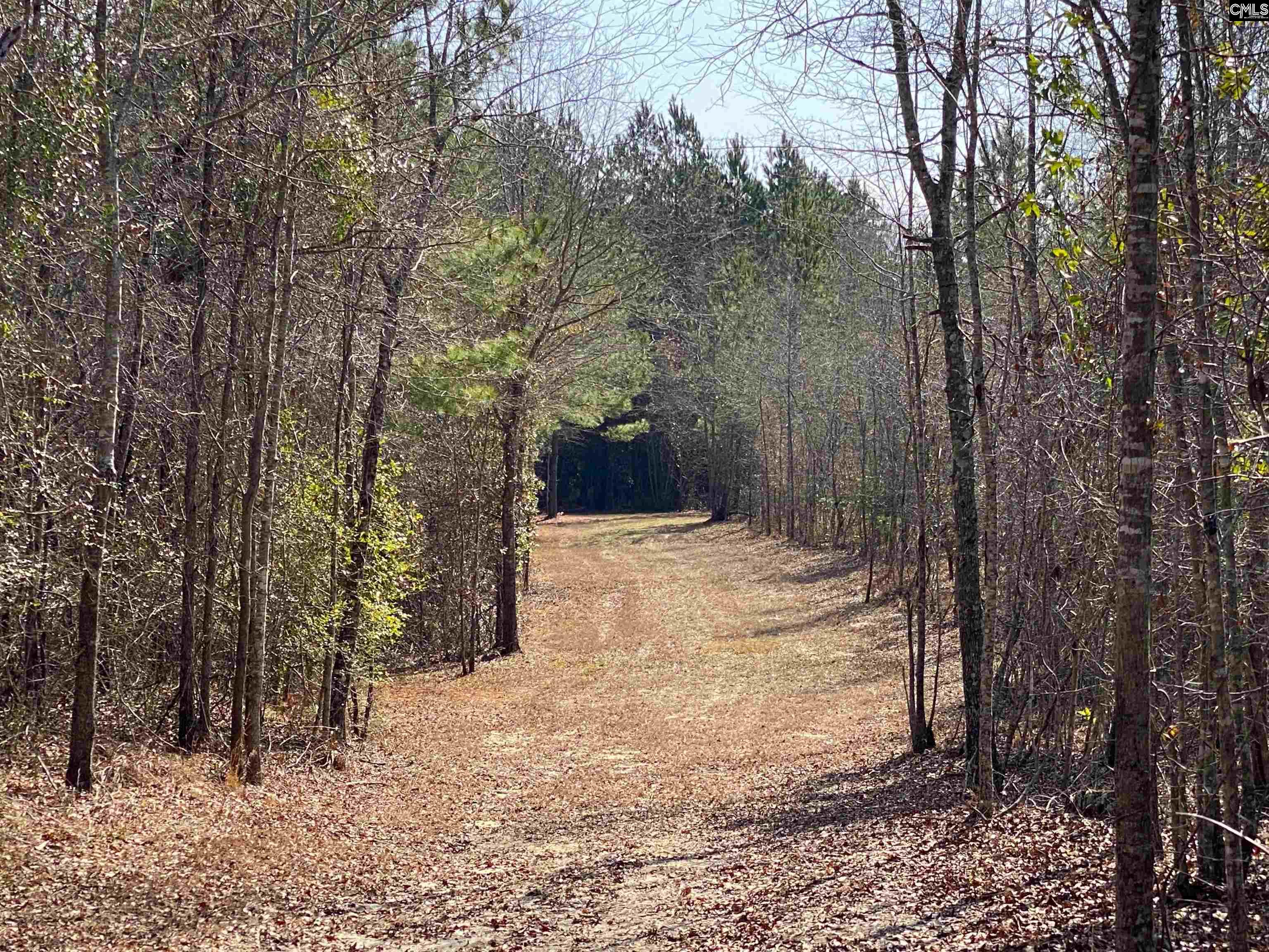 TBD 1 Juniper Road, Barnwell, South Carolina image 12