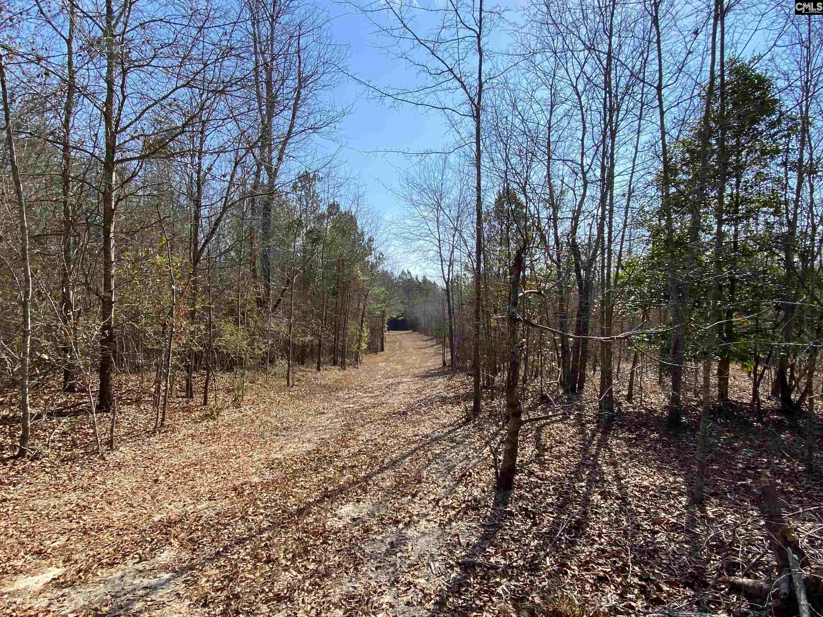 TBD 1 Juniper Road, Barnwell, South Carolina image 13