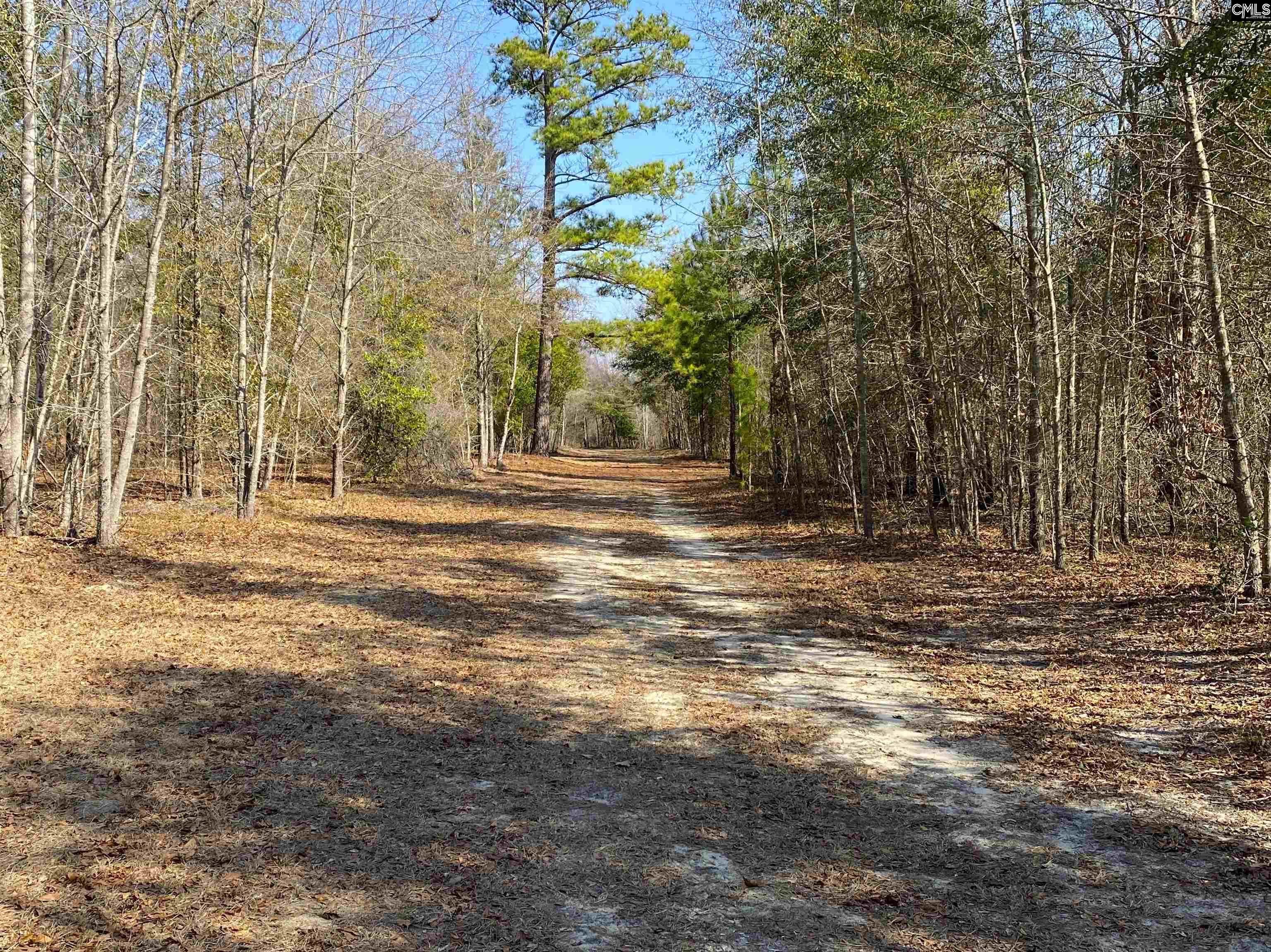 TBD 1 Juniper Road, Barnwell, South Carolina image 14
