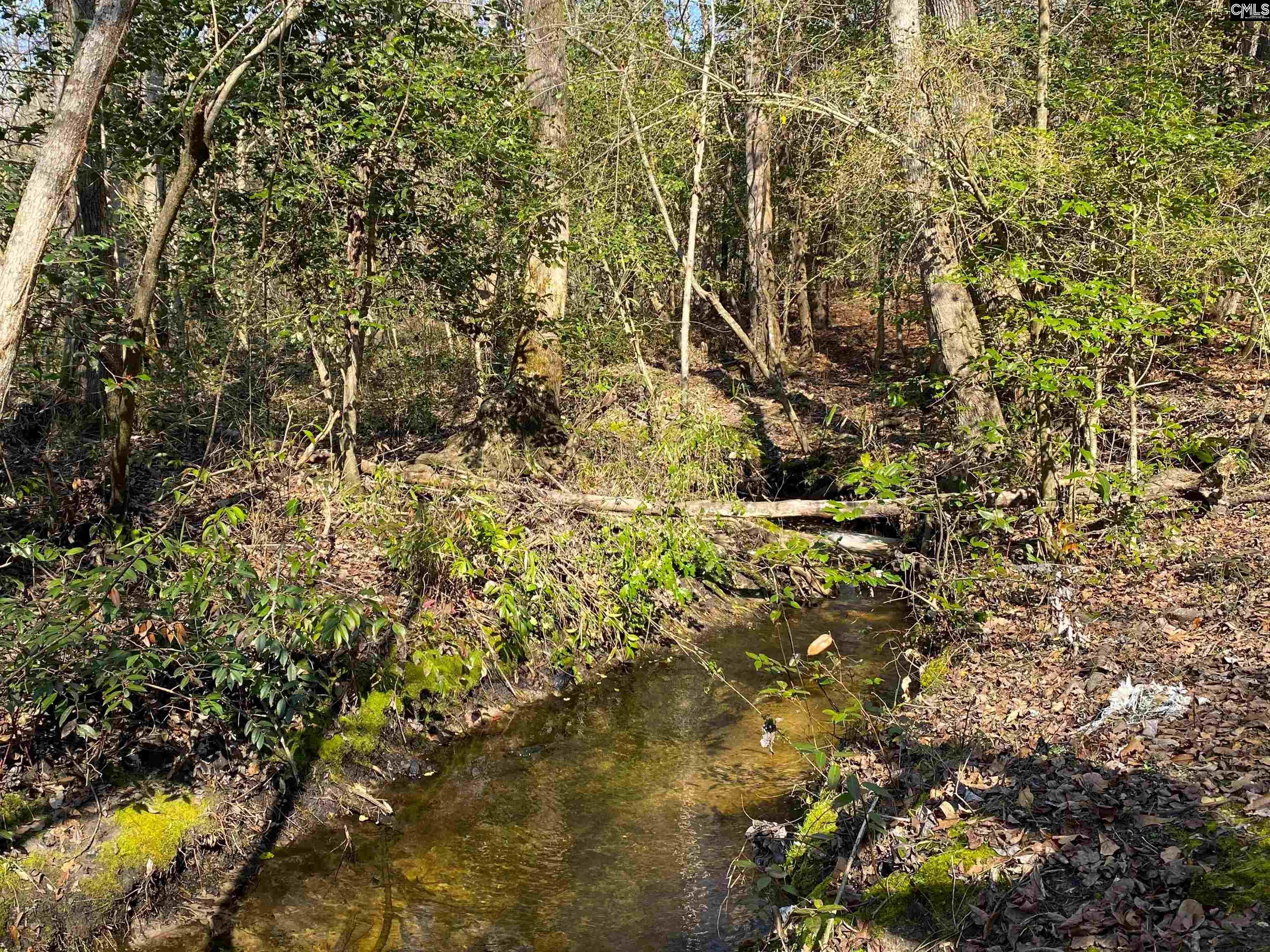 TBD 1 Juniper Road, Barnwell, South Carolina image 18
