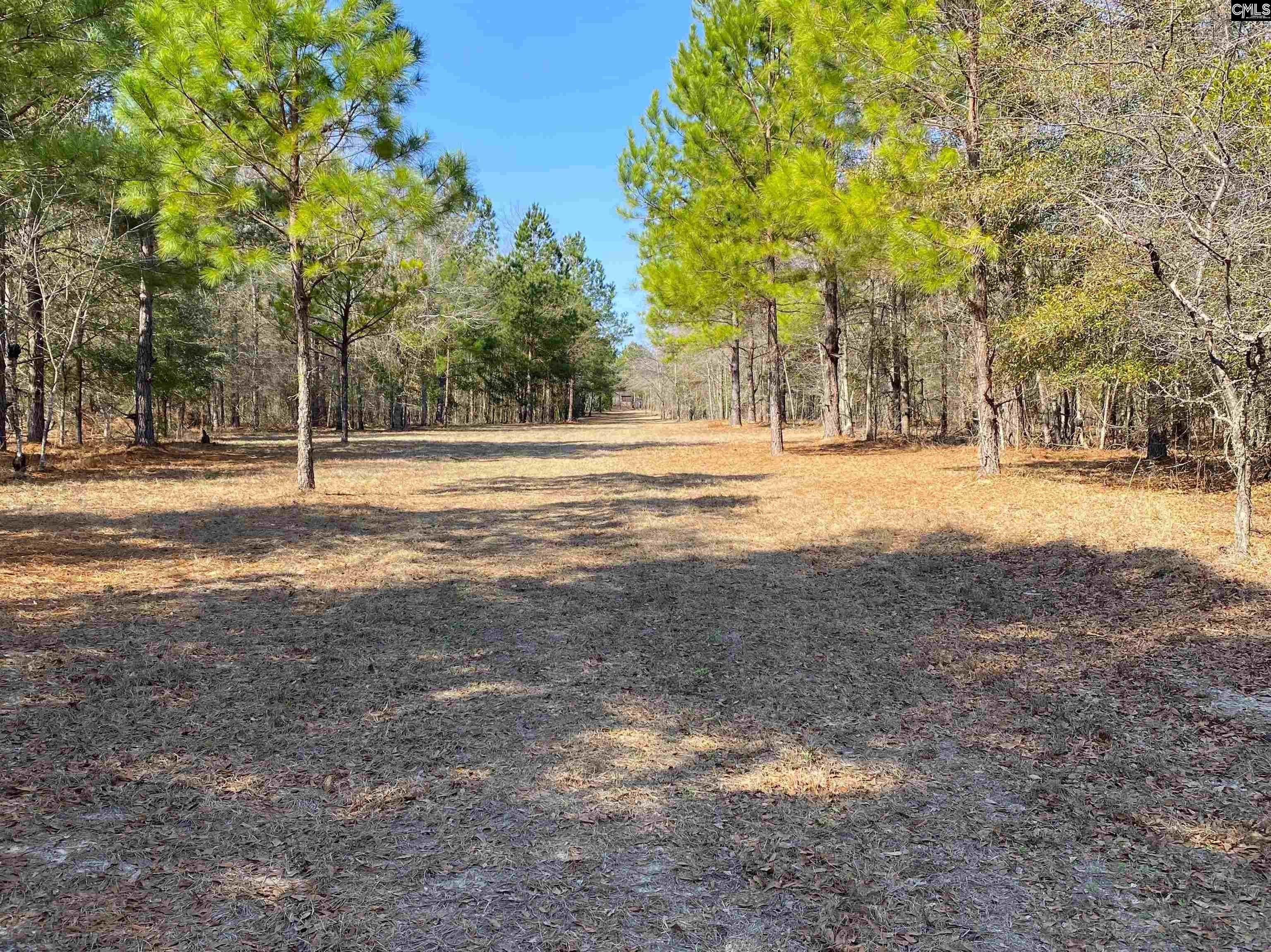 TBD 1 Juniper Road, Barnwell, South Carolina image 19