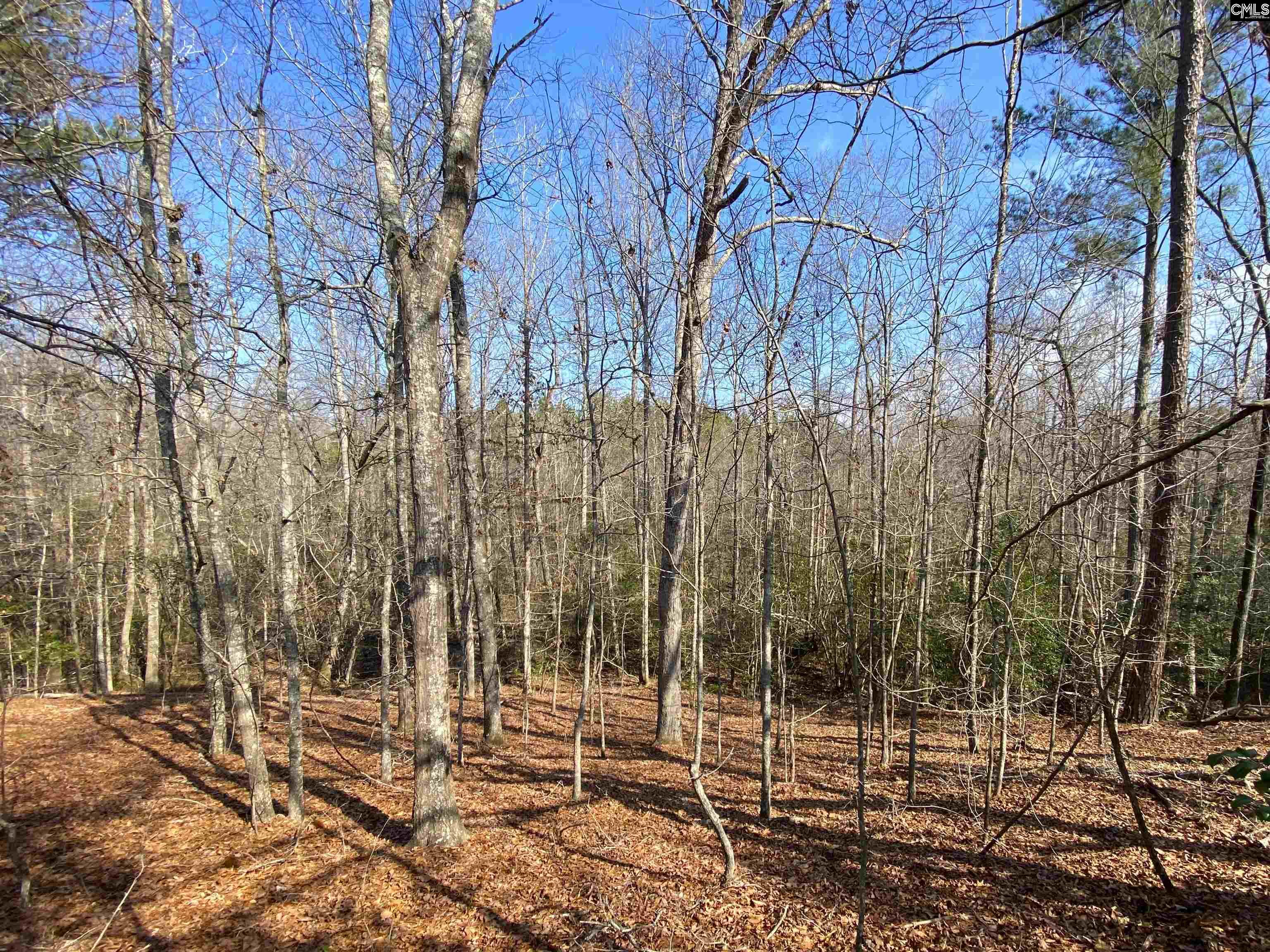 TBD 1 Juniper Road, Barnwell, South Carolina image 3