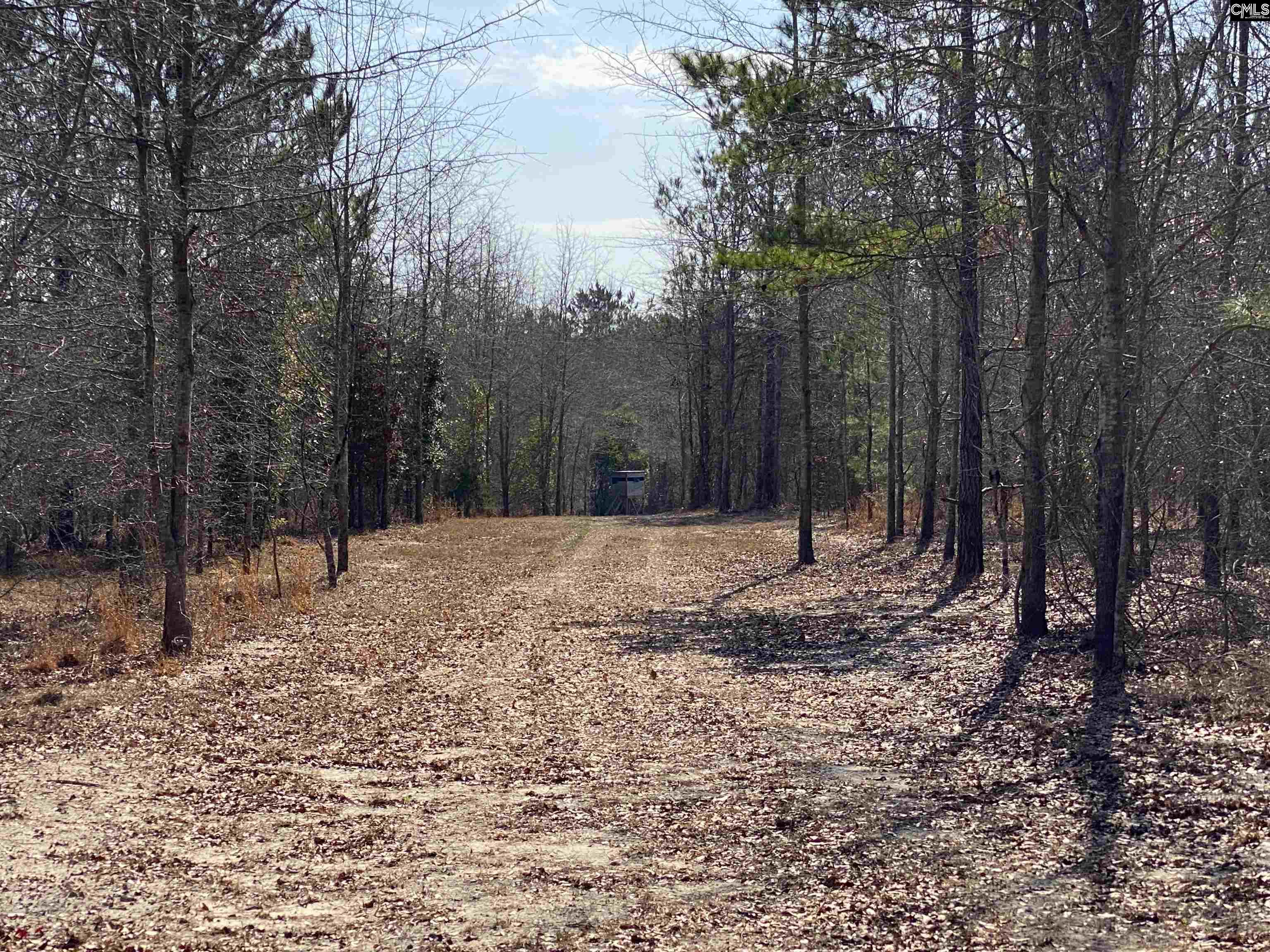 TBD 1 Juniper Road, Barnwell, South Carolina image 23