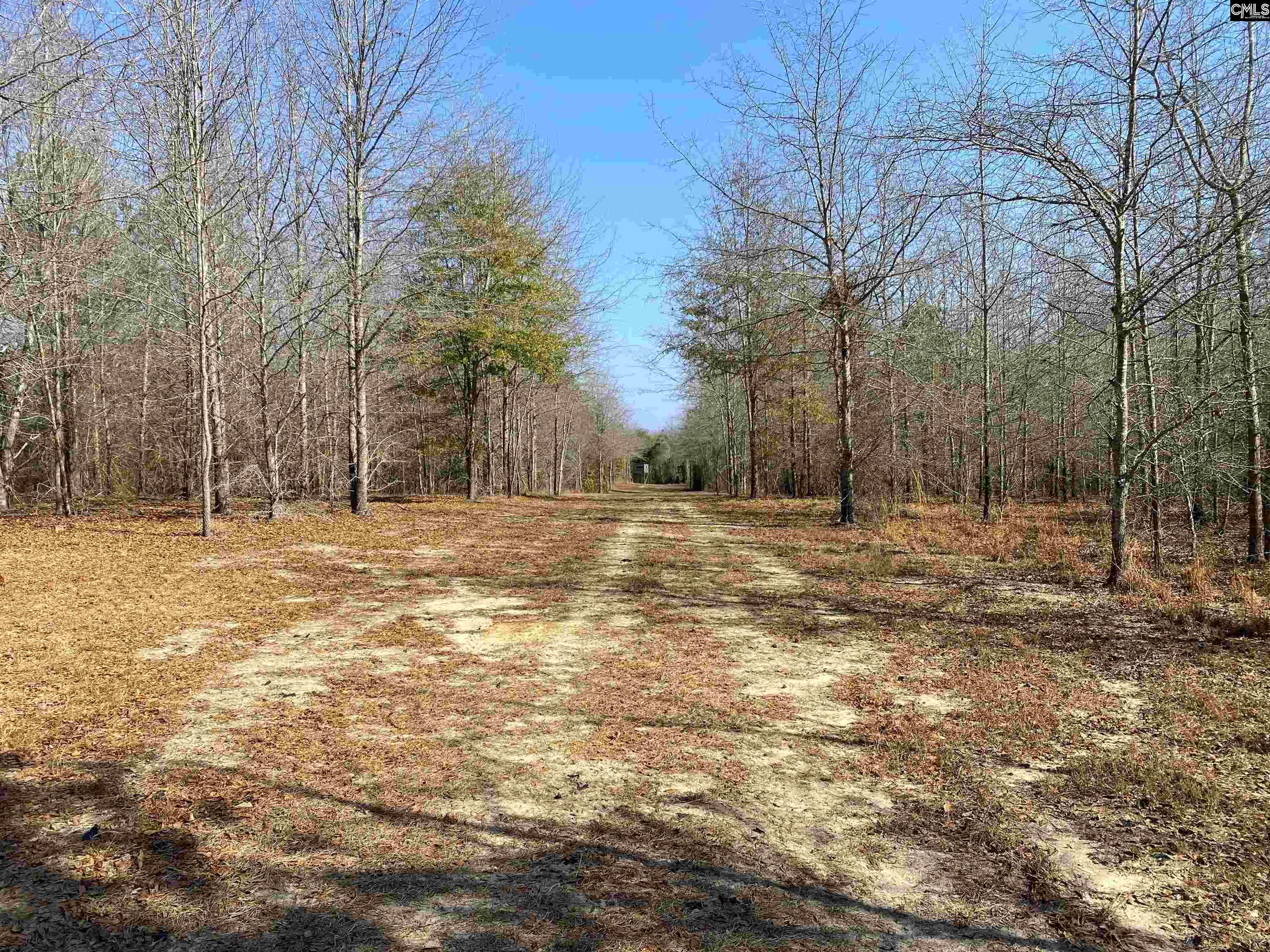 TBD 1 Juniper Road, Barnwell, South Carolina image 25