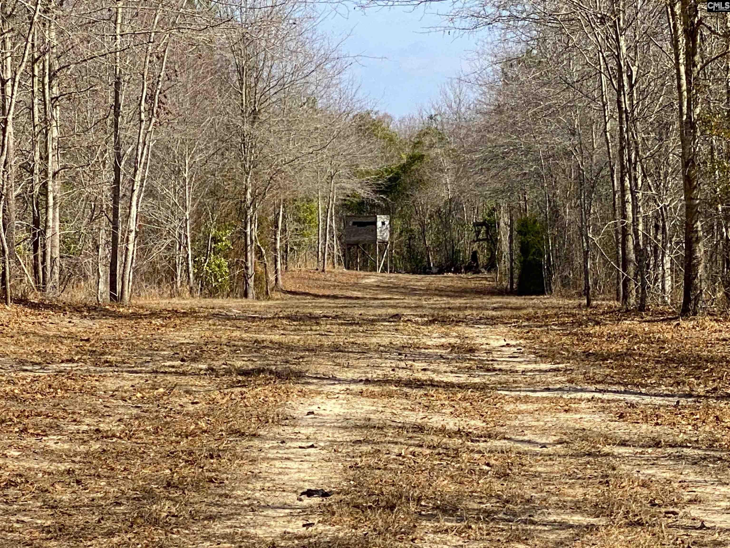 TBD 1 Juniper Road, Barnwell, South Carolina image 26