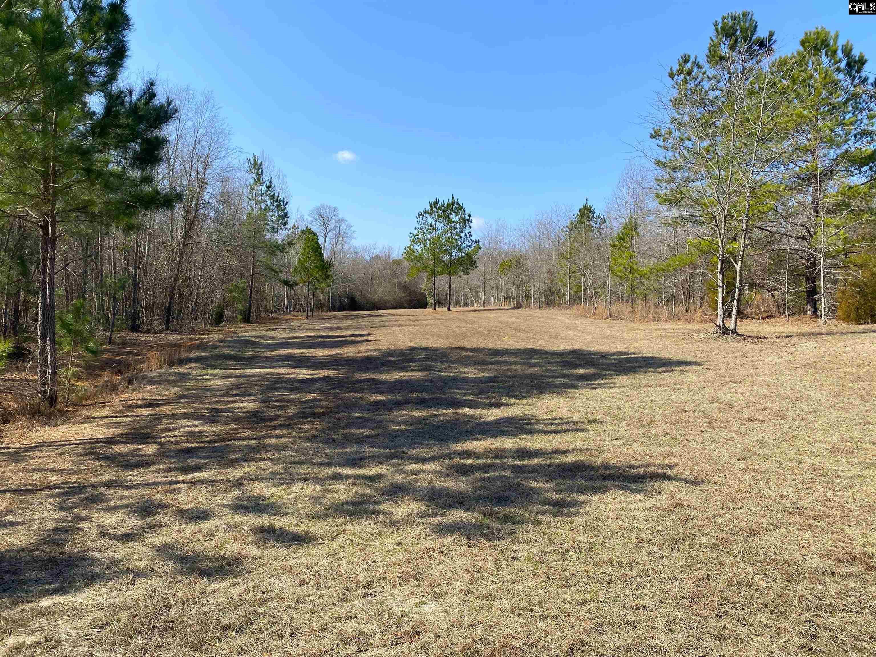 TBD 1 Juniper Road, Barnwell, South Carolina image 28