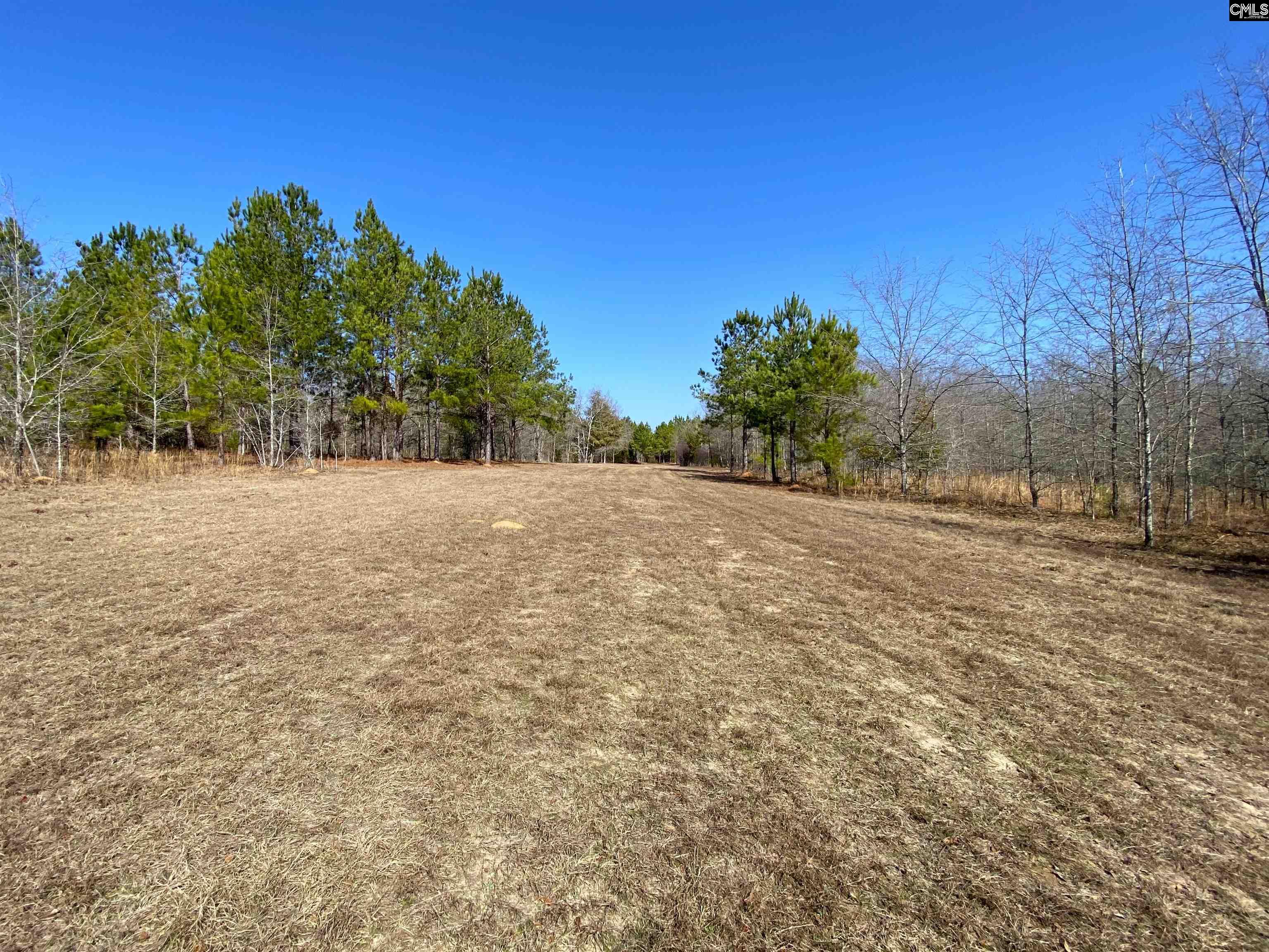 TBD 1 Juniper Road, Barnwell, South Carolina image 29
