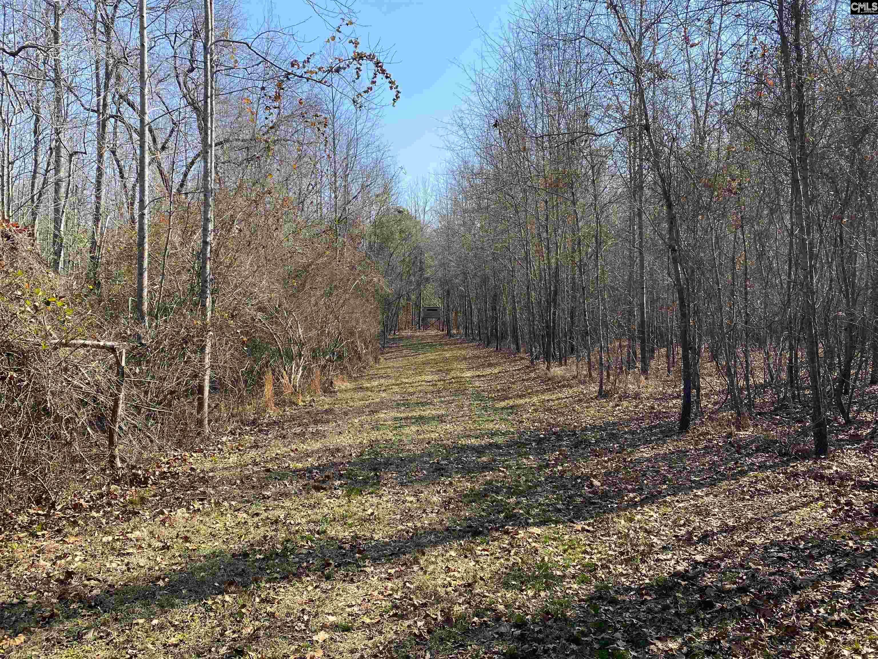 TBD 1 Juniper Road, Barnwell, South Carolina image 6