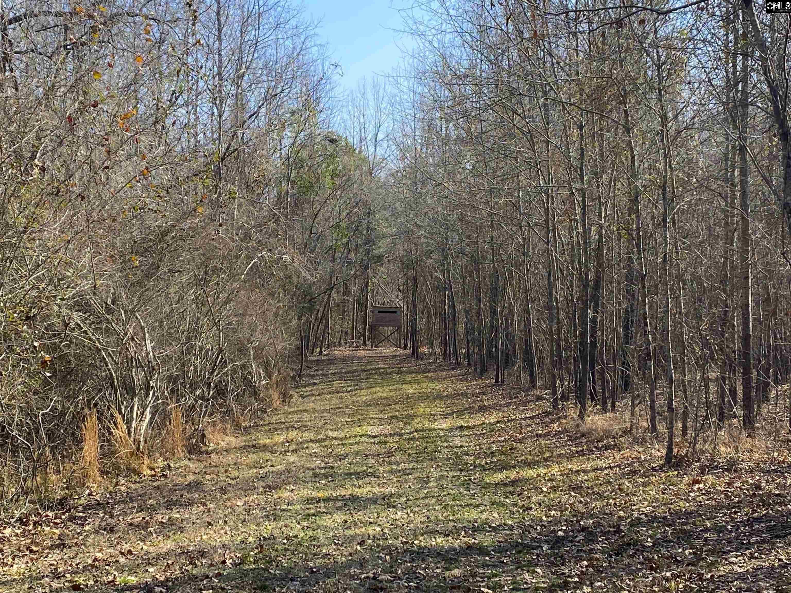 TBD 1 Juniper Road, Barnwell, South Carolina image 7