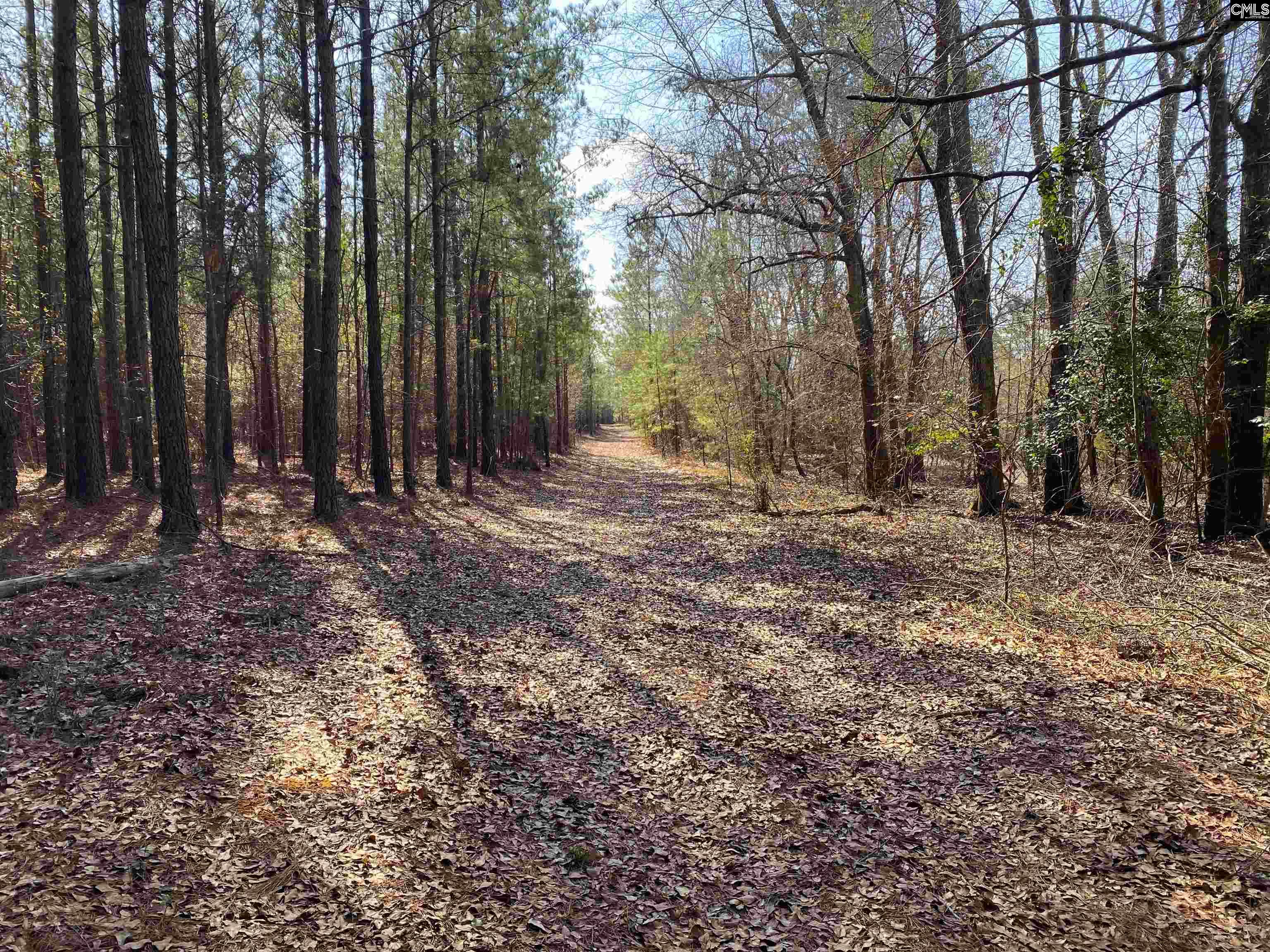 TBD 1 Juniper Road, Barnwell, South Carolina image 8