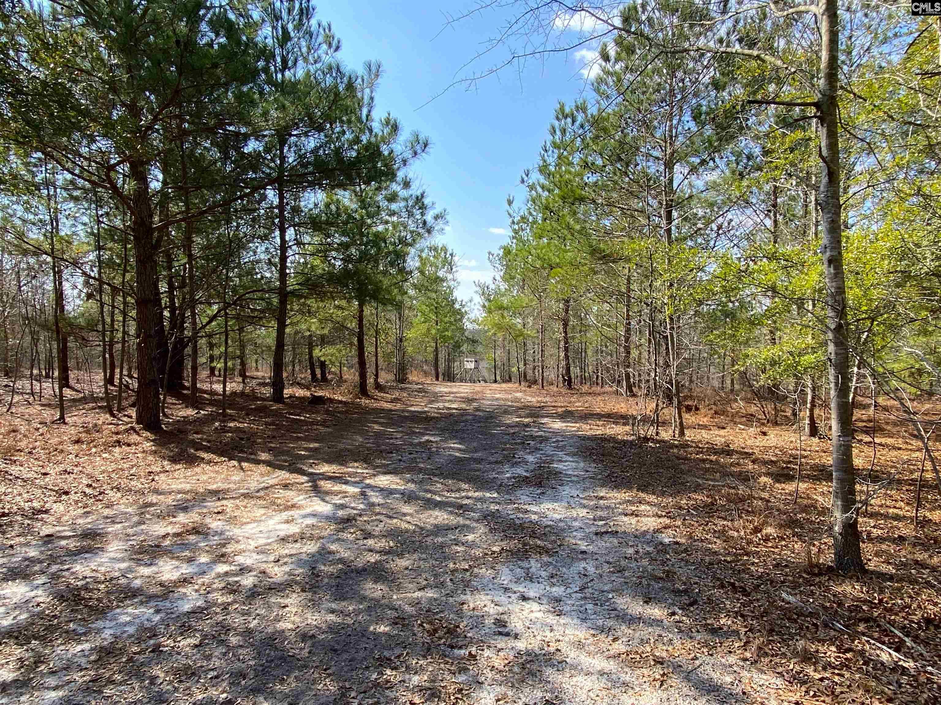 TBD 1 Juniper Road, Barnwell, South Carolina image 9