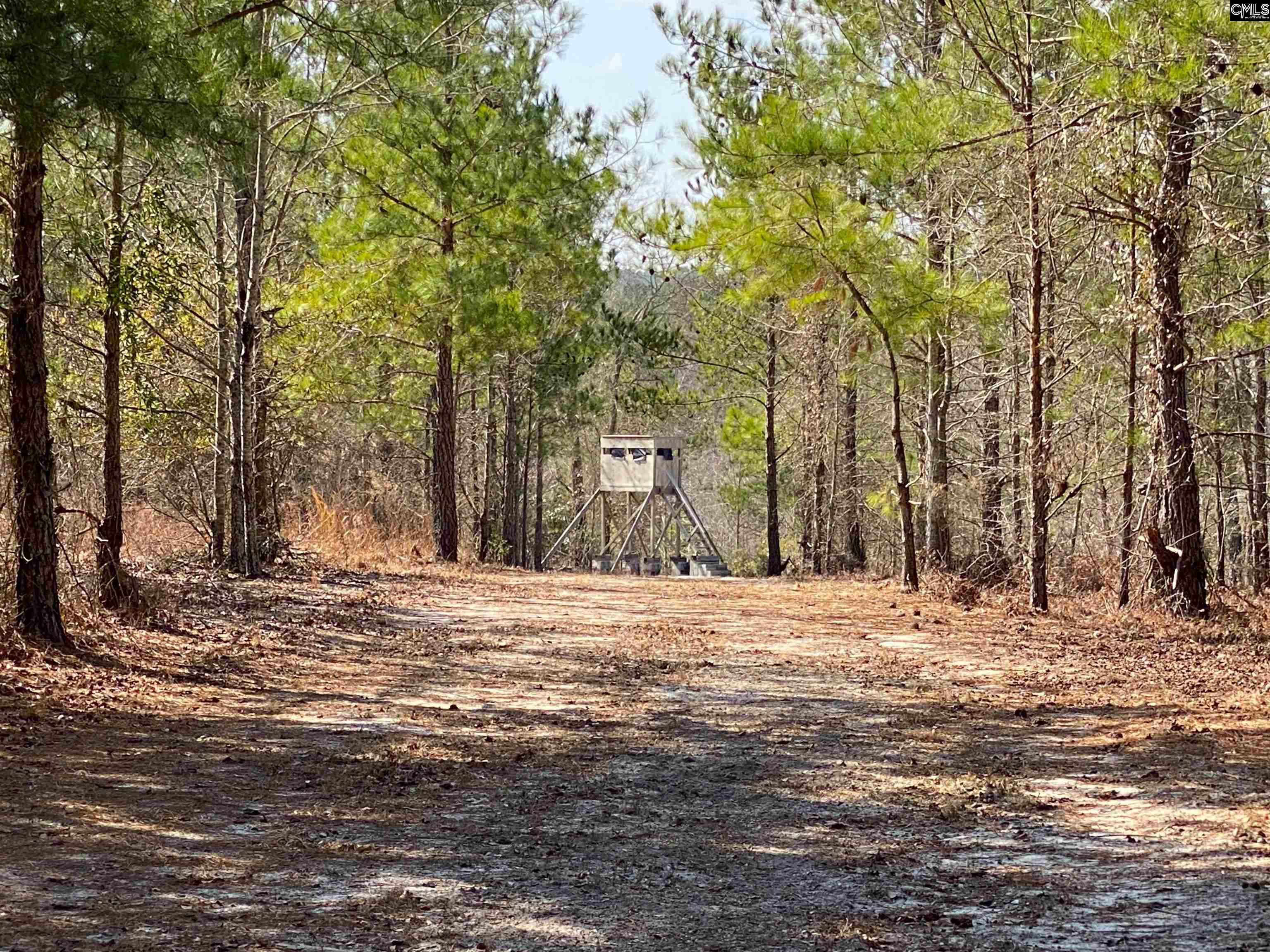 TBD 1 Juniper Road, Barnwell, South Carolina image 10