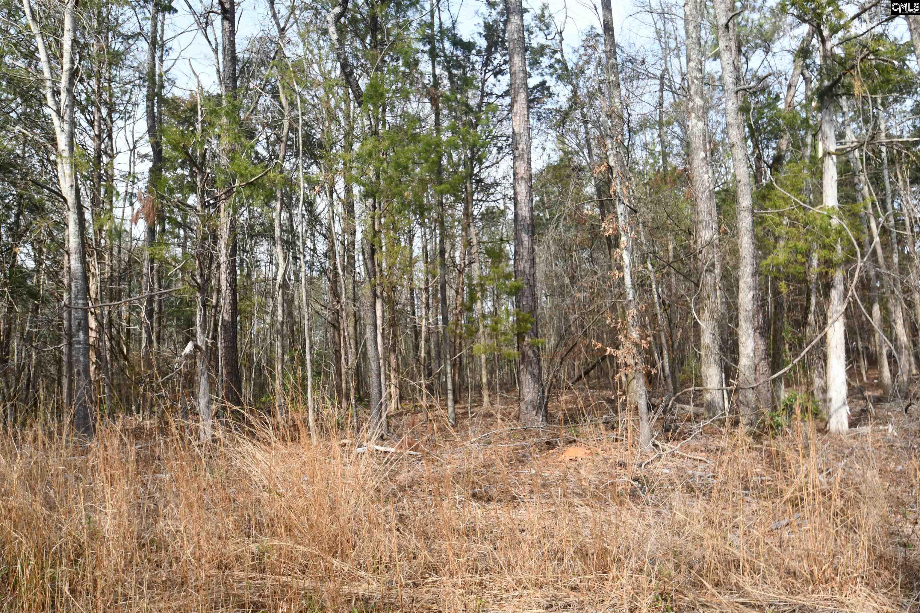 Sc Hwy 391 & Maple Knoll Road, Prosperity, South Carolina image 1
