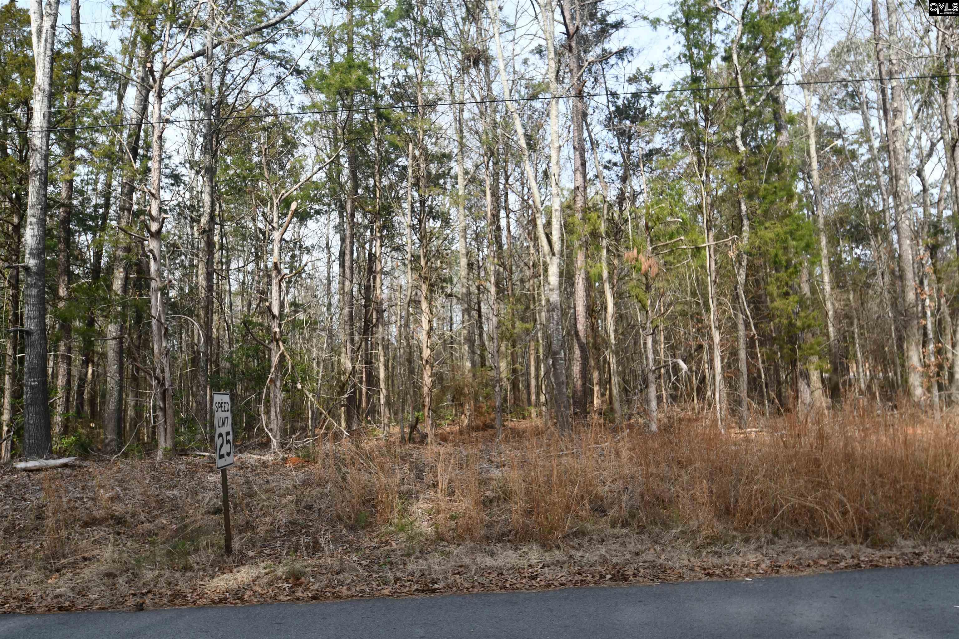 Sc Hwy 391 & Maple Knoll Road, Prosperity, South Carolina image 5