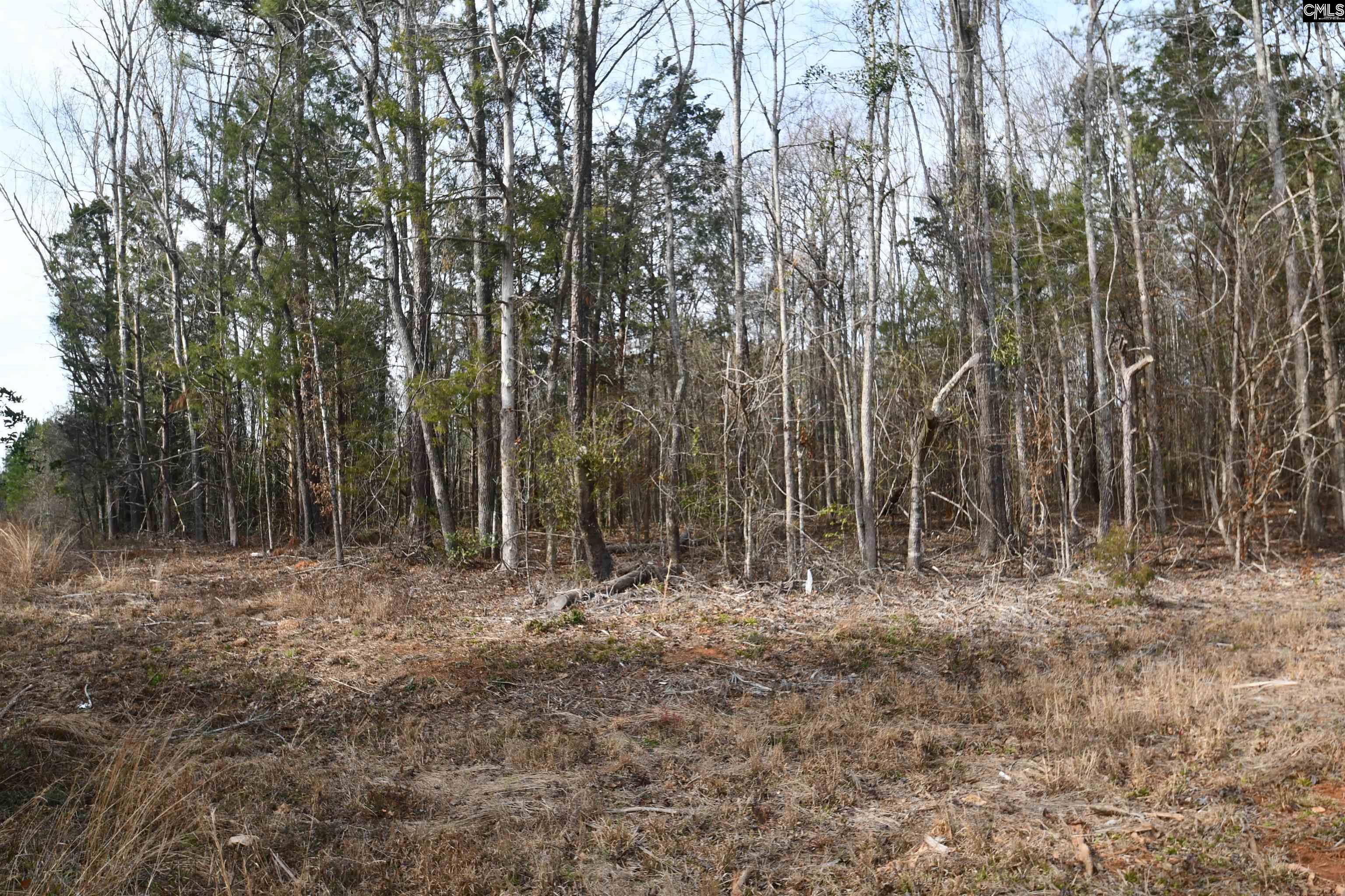 Sc Hwy 391 & Maple Knoll Road, Prosperity, South Carolina image 6