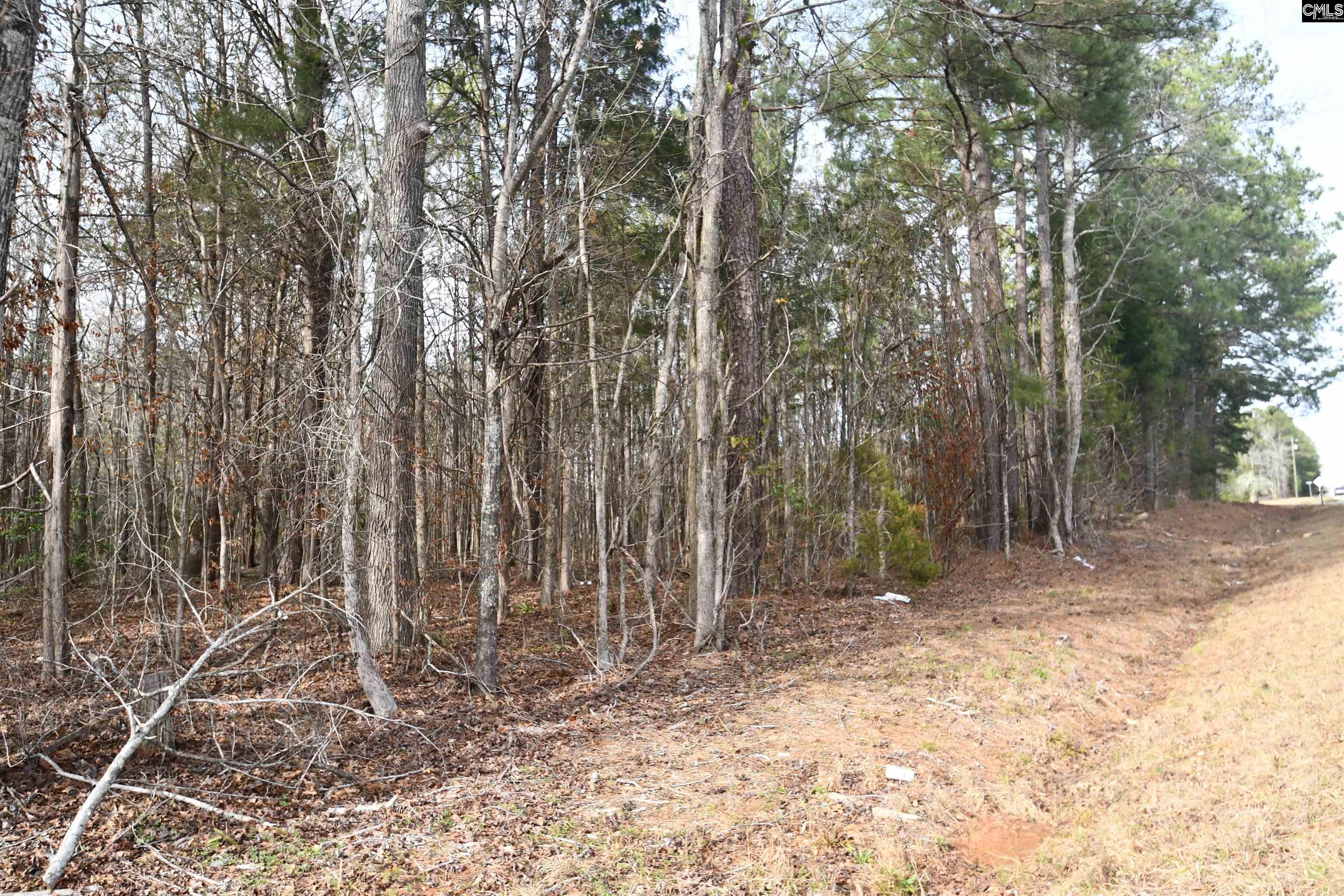 Sc Hwy 391 & Maple Knoll Road, Prosperity, South Carolina image 7