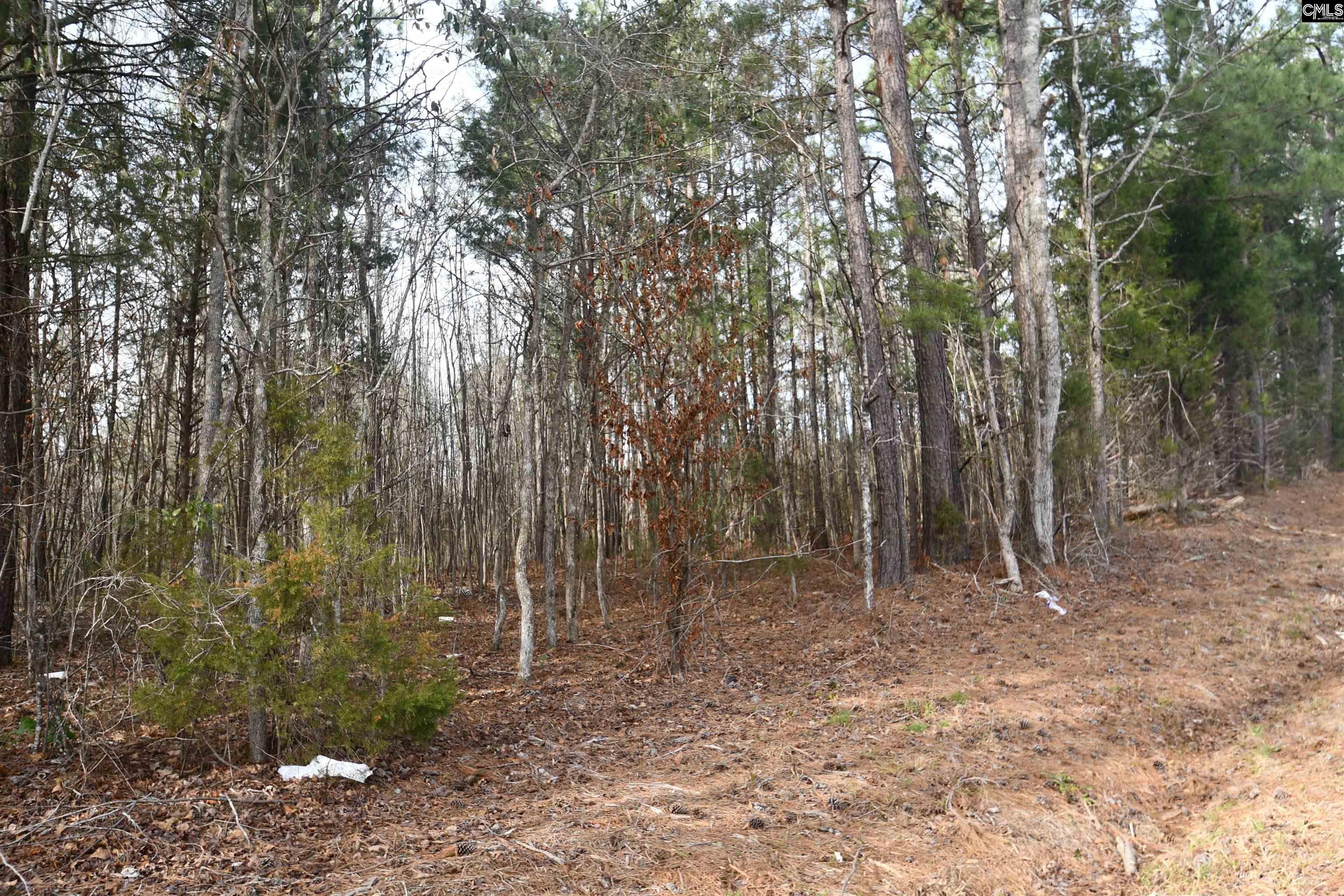 Sc Hwy 391 & Maple Knoll Road, Prosperity, South Carolina image 8