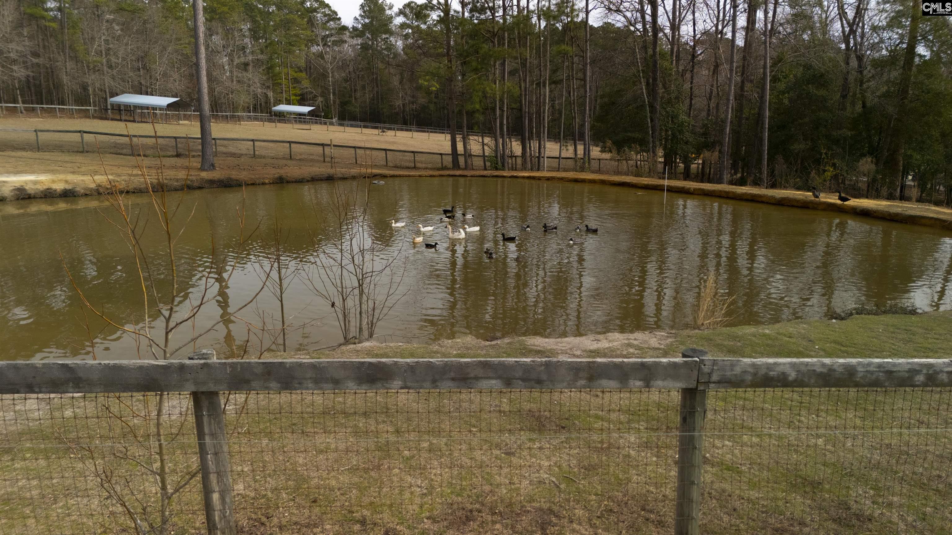 2650 Old State Road, Swansea, South Carolina image 31