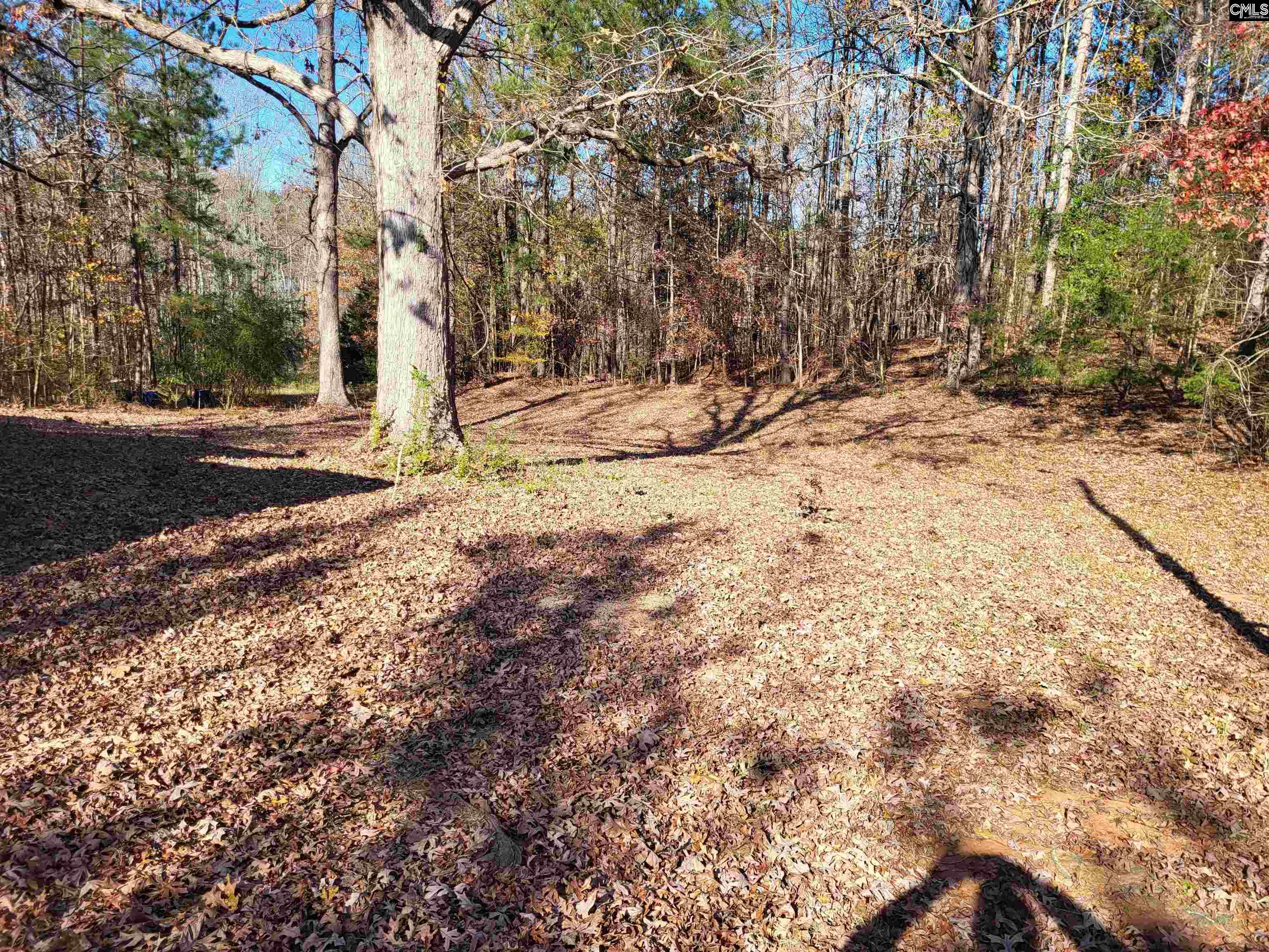 320 Little Ranches Road, Newberry, South Carolina image 1