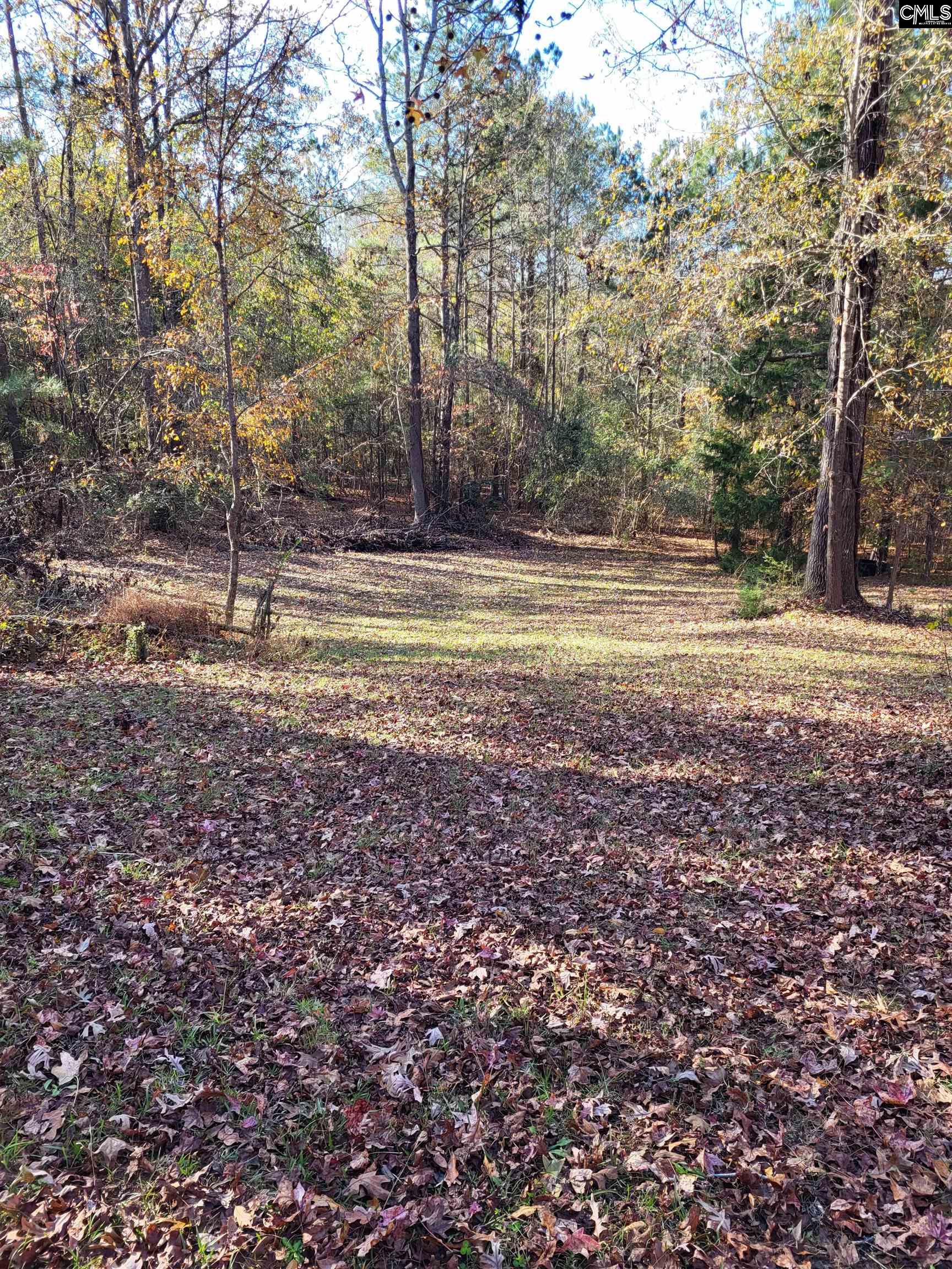 320 Little Ranches Road, Newberry, South Carolina image 3