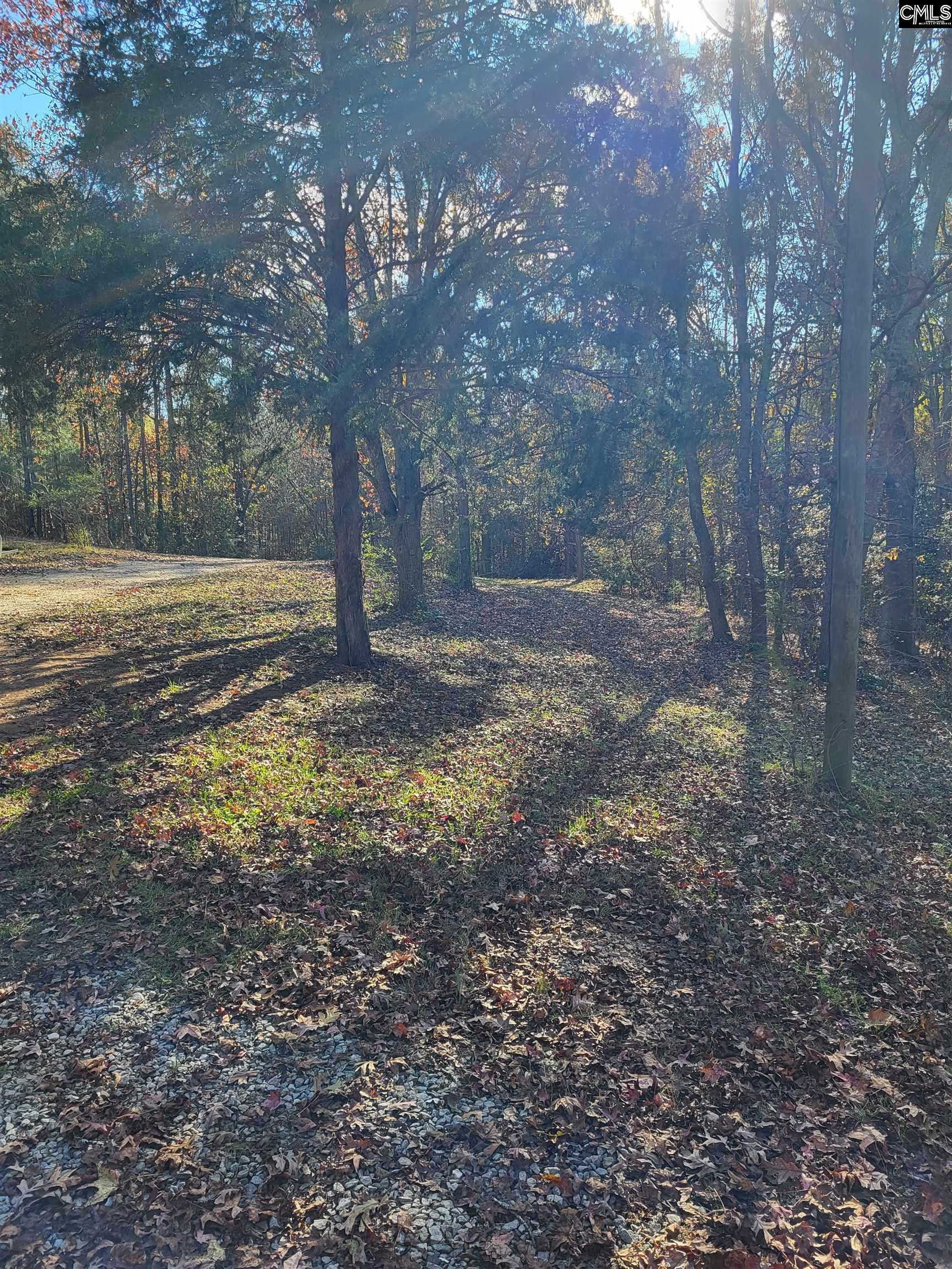 320 Little Ranches Road, Newberry, South Carolina image 4