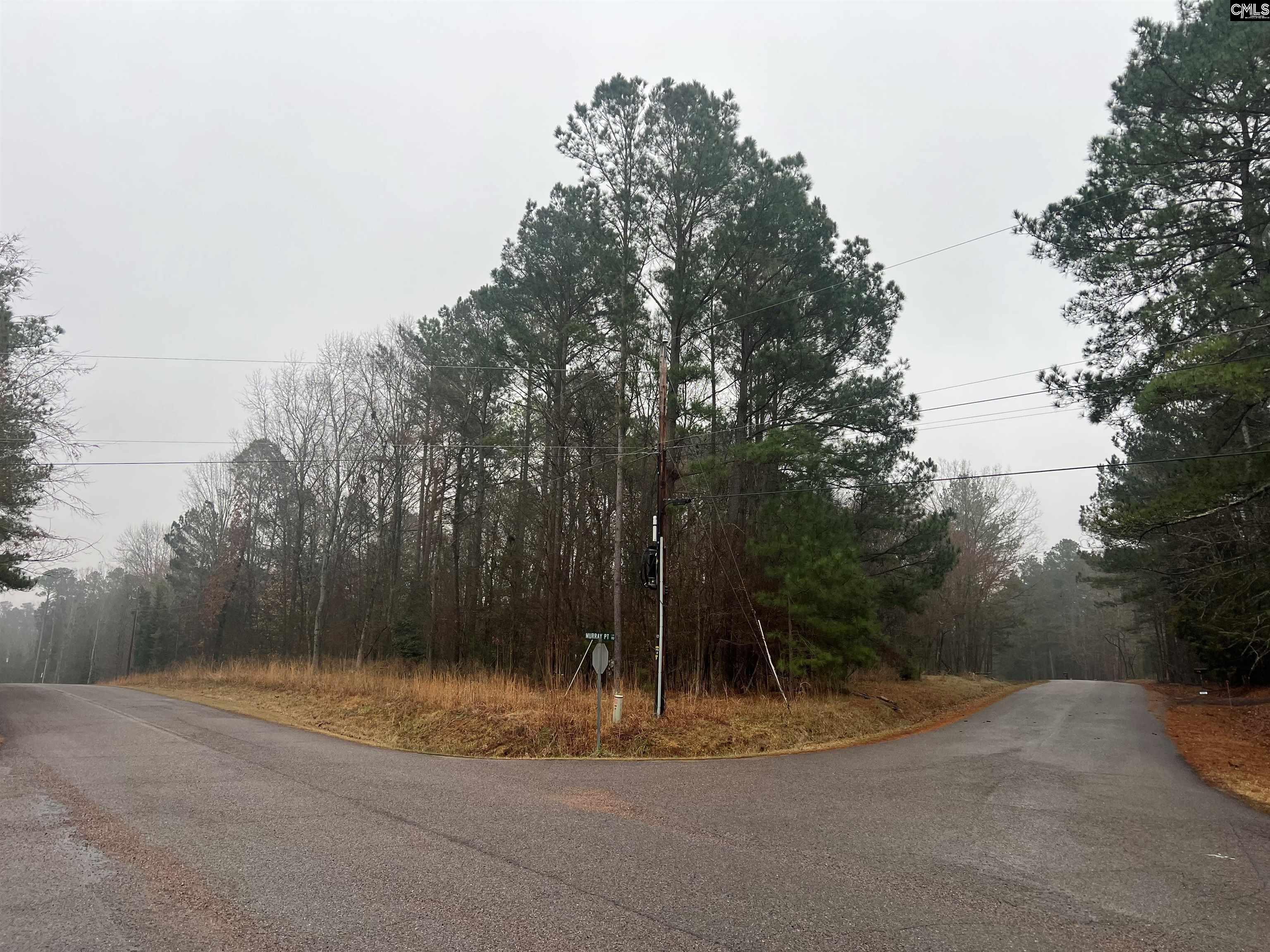 Murray Point Batesburg, SC 29006