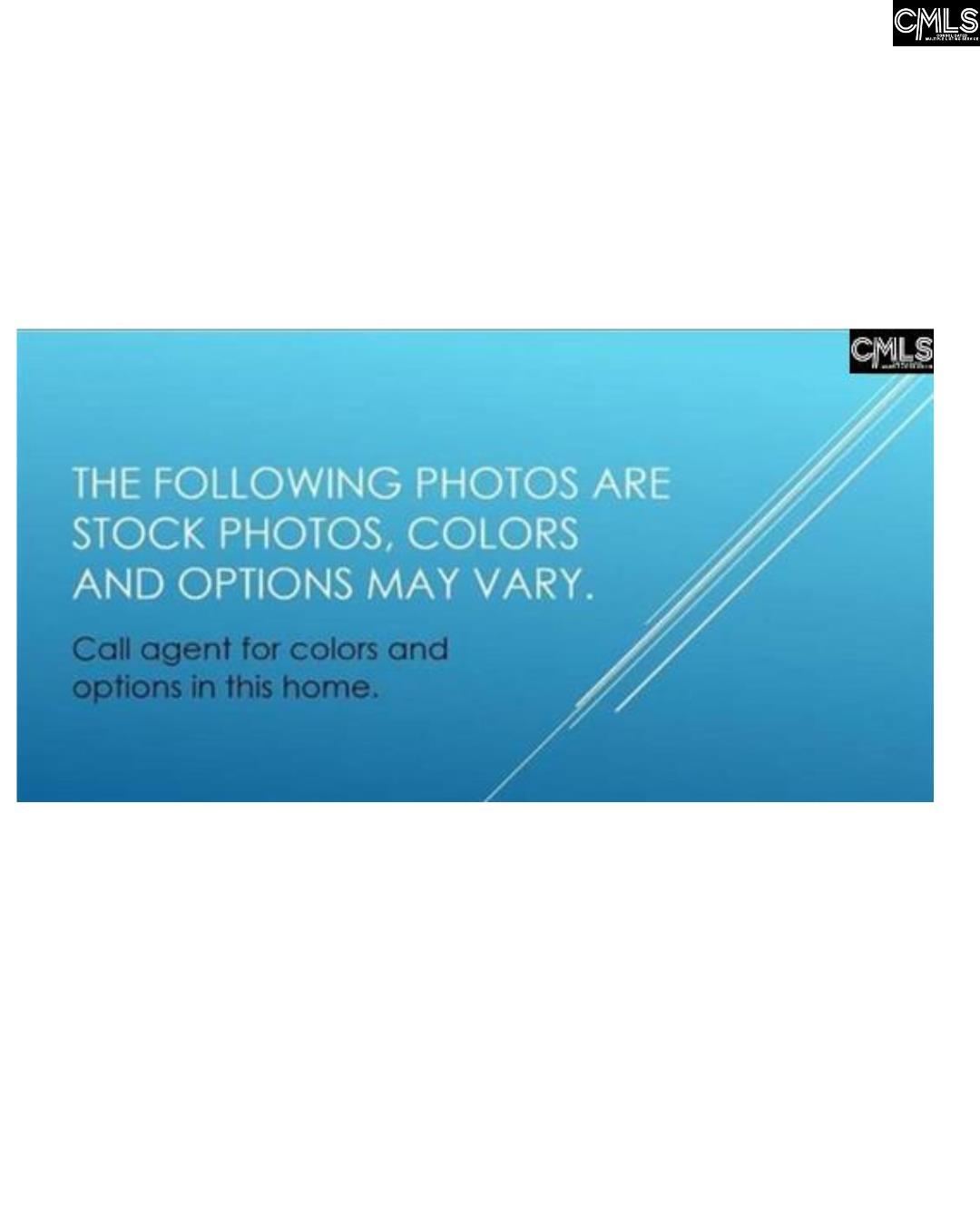 378 Mont Haven Place, Lexington, South Carolina image 3
