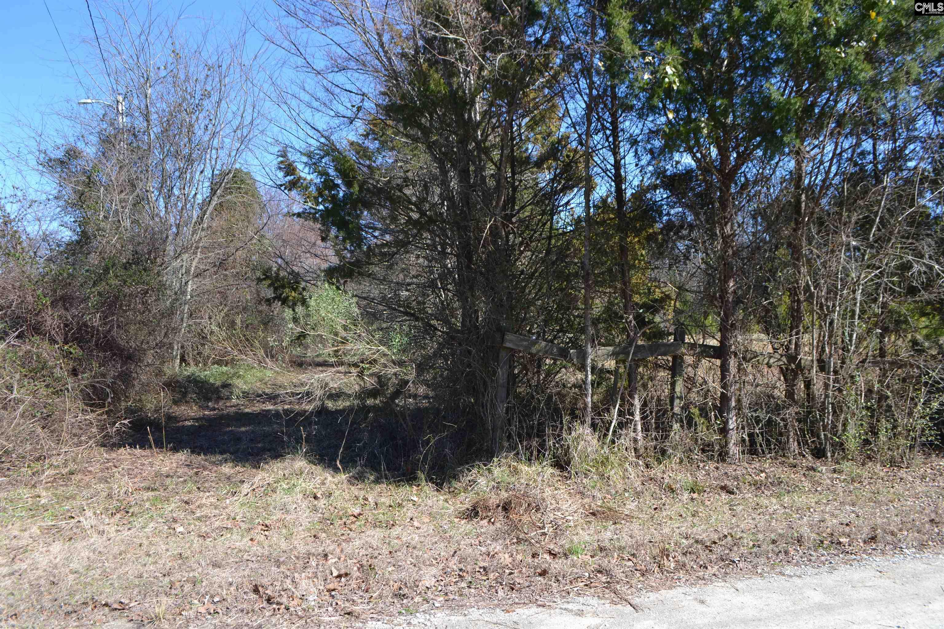105 Walter Mccartha Road, Chapin, South Carolina image 2