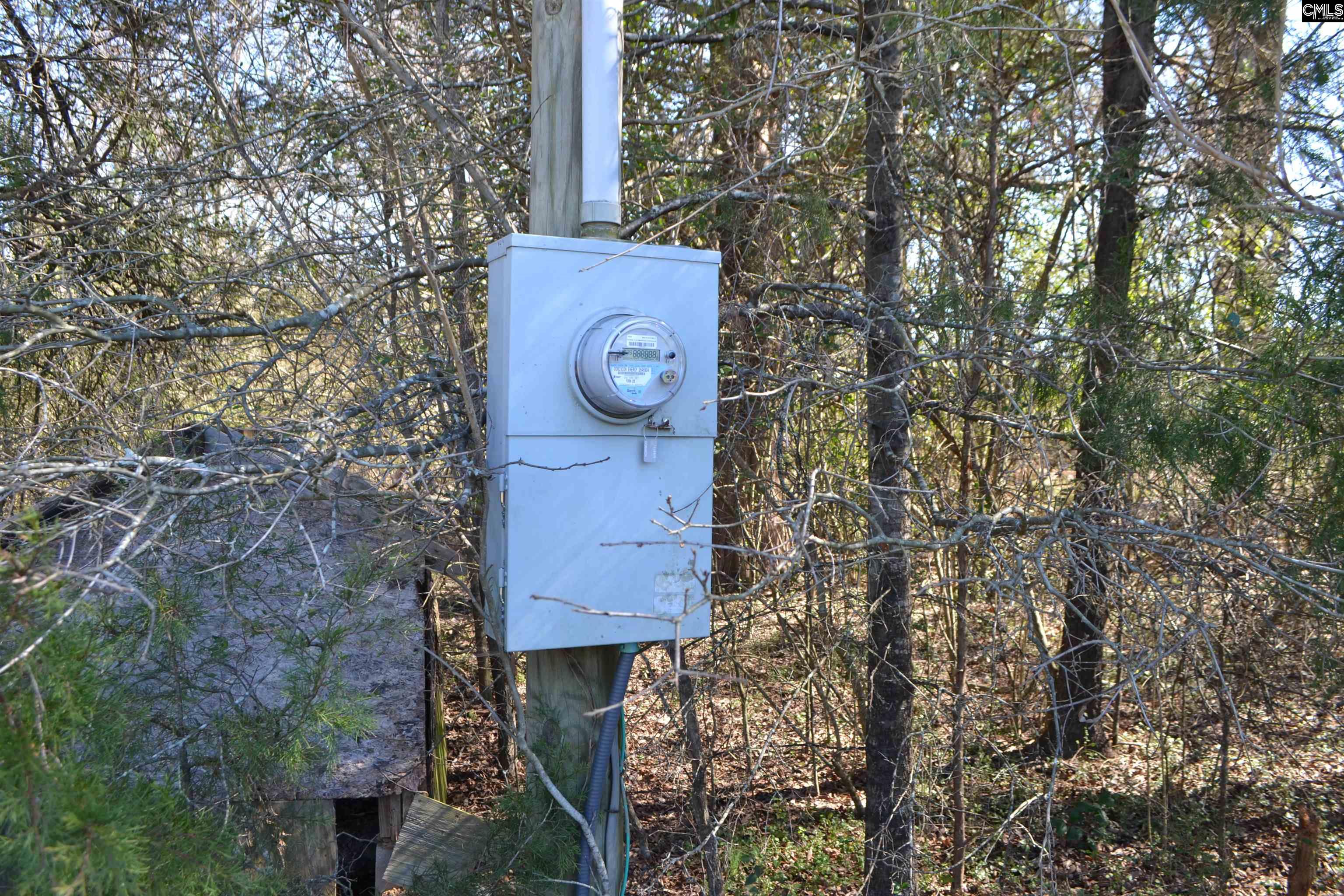 105 Walter Mccartha Road, Chapin, South Carolina image 11