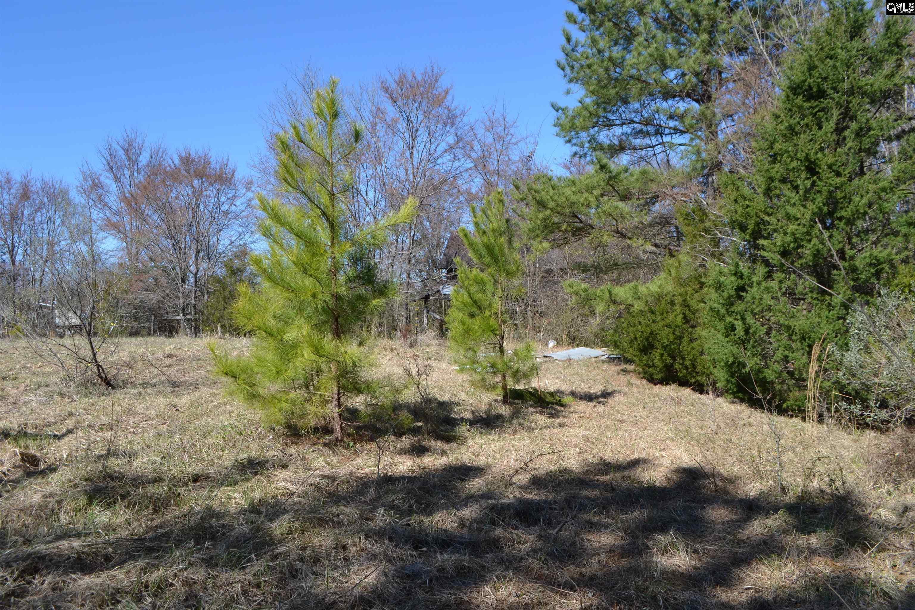 105 Walter Mccartha Road, Chapin, South Carolina image 13
