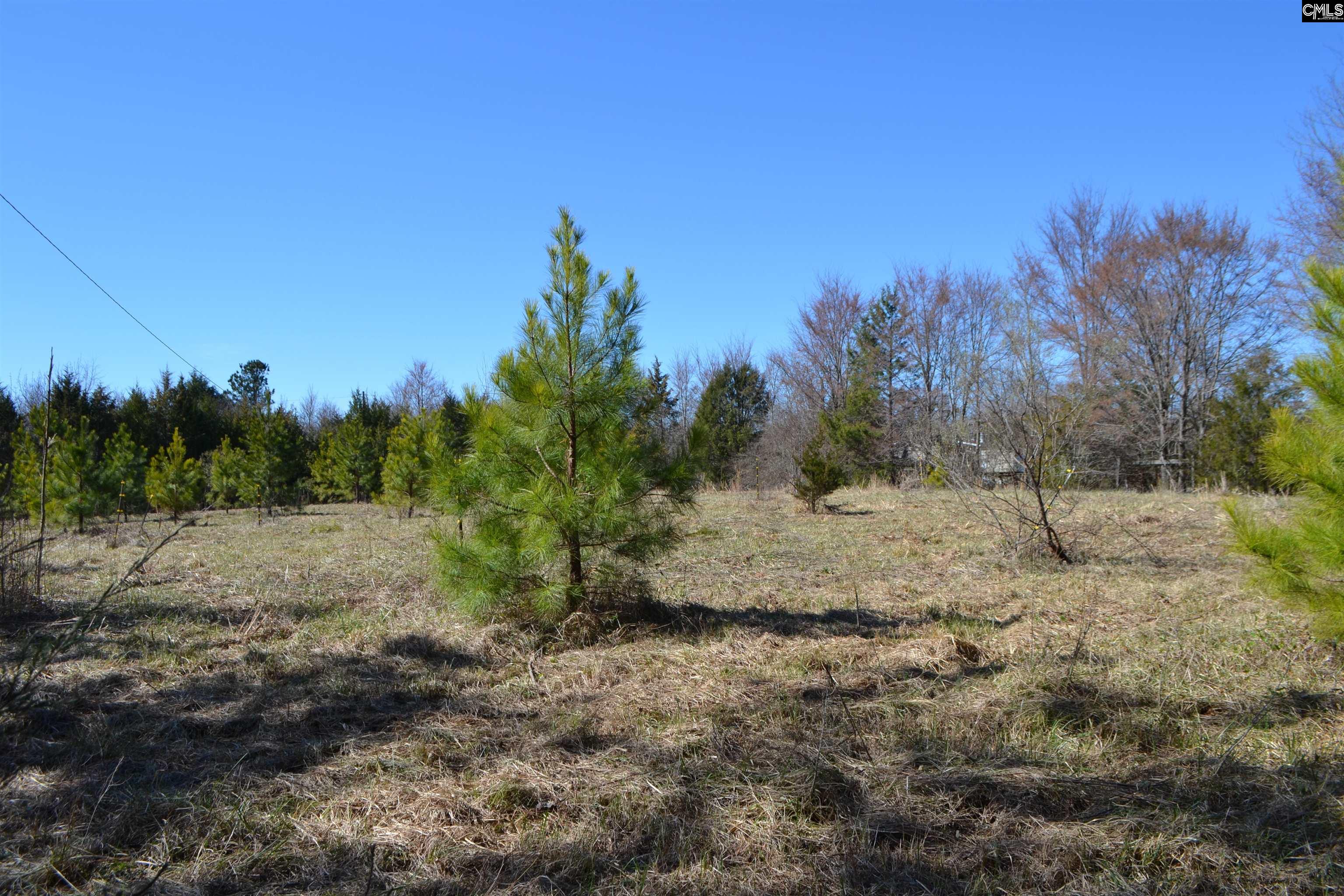 105 Walter Mccartha Road, Chapin, South Carolina image 14