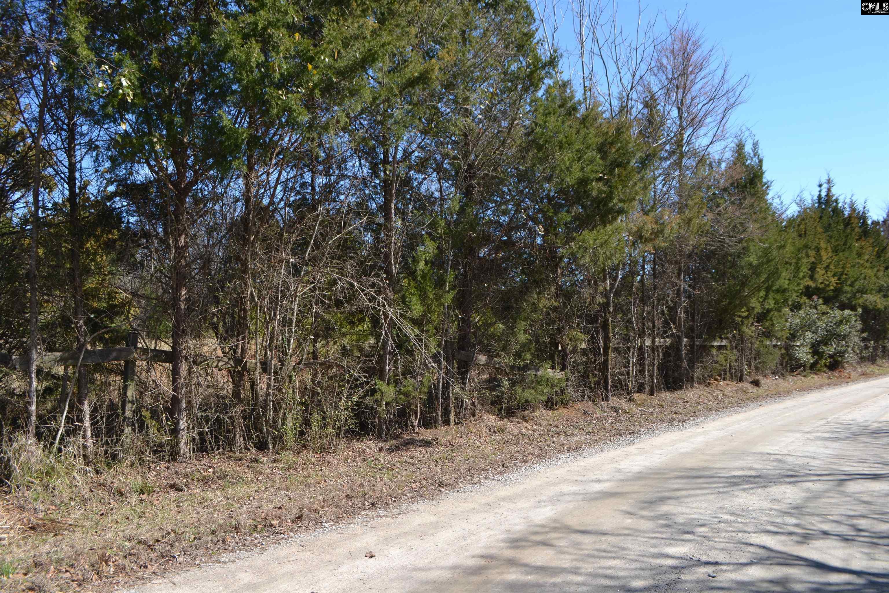 105 Walter Mccartha Road, Chapin, South Carolina image 3