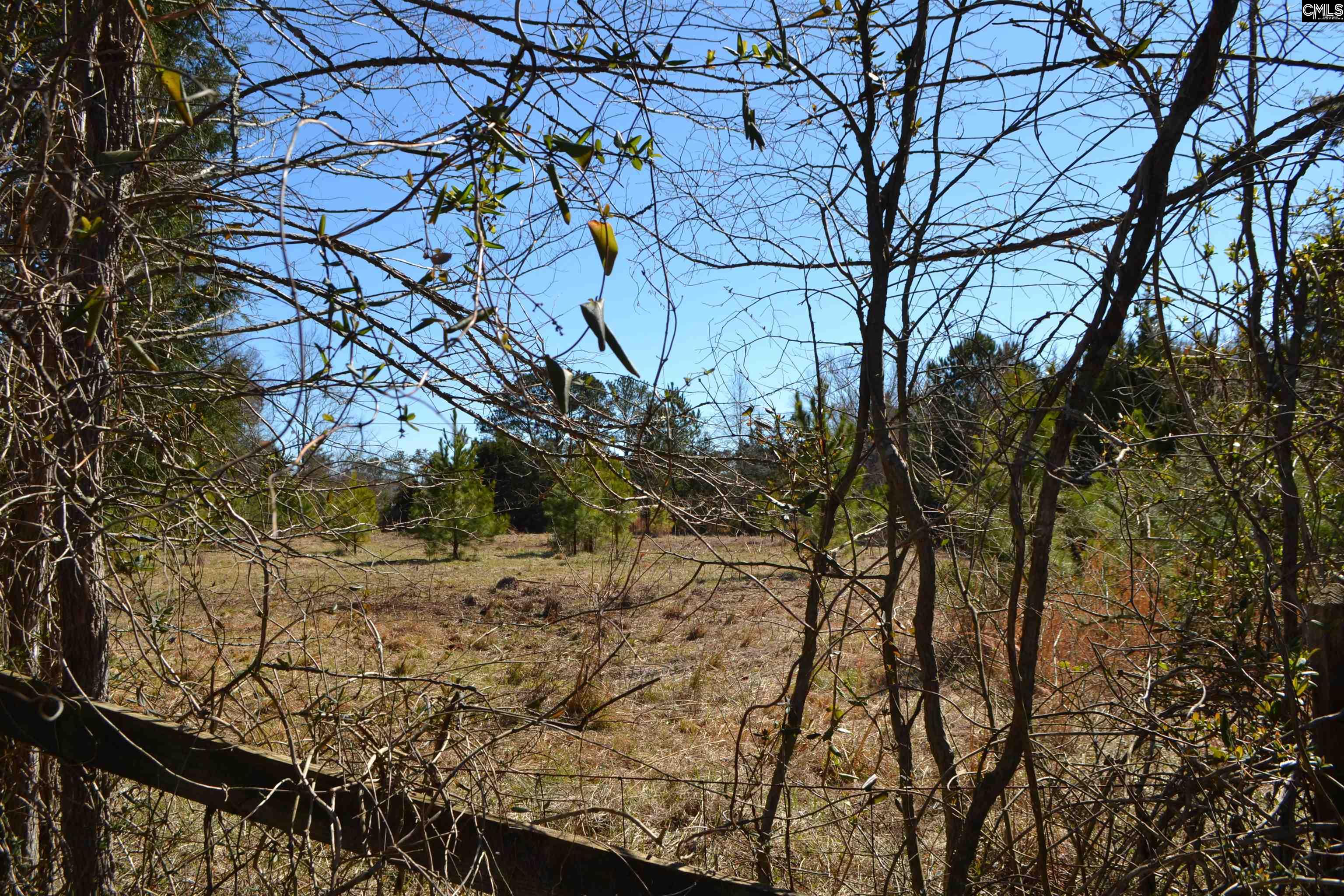 105 Walter Mccartha Road, Chapin, South Carolina image 4