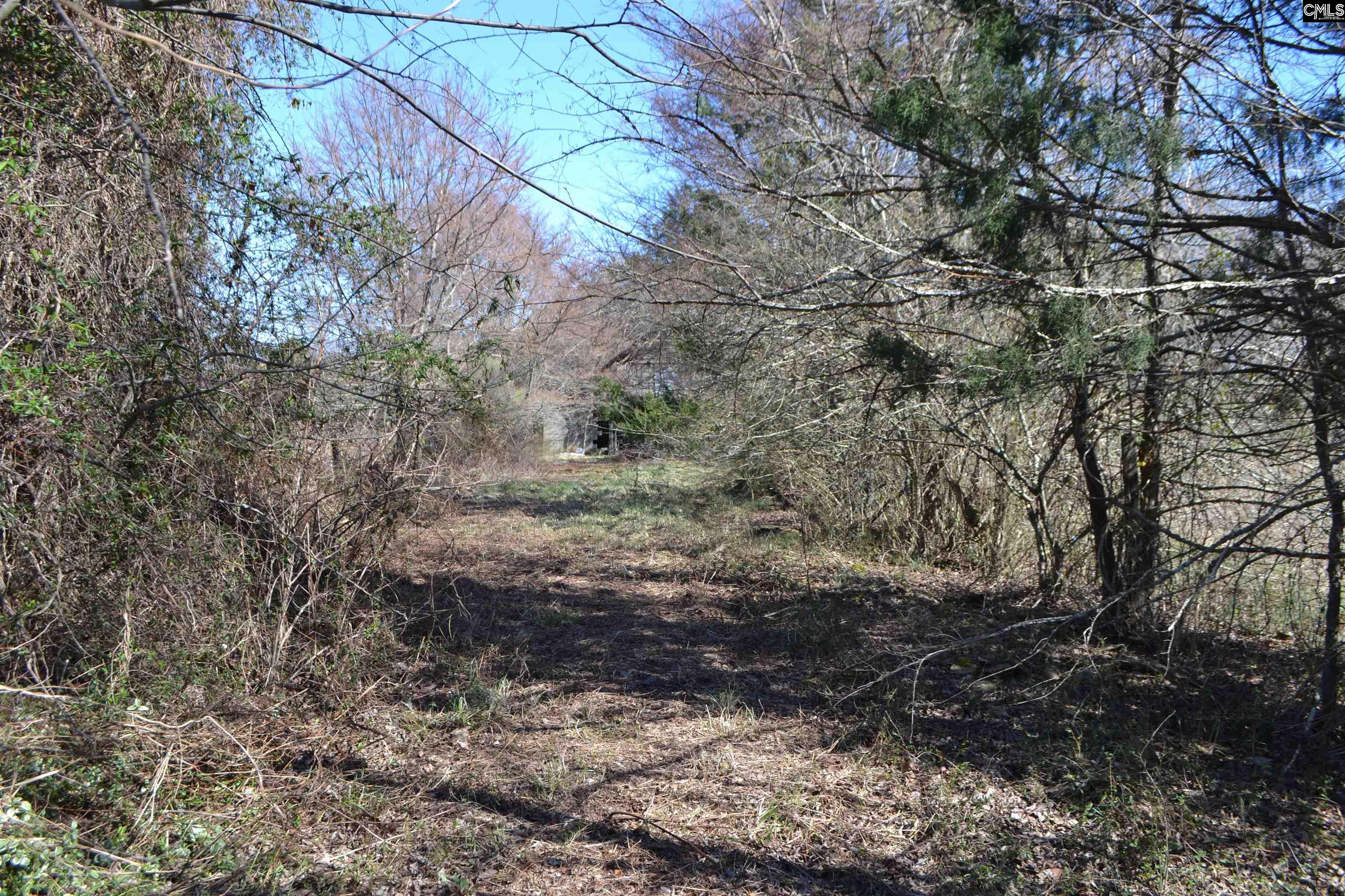 105 Walter Mccartha Road, Chapin, South Carolina image 5