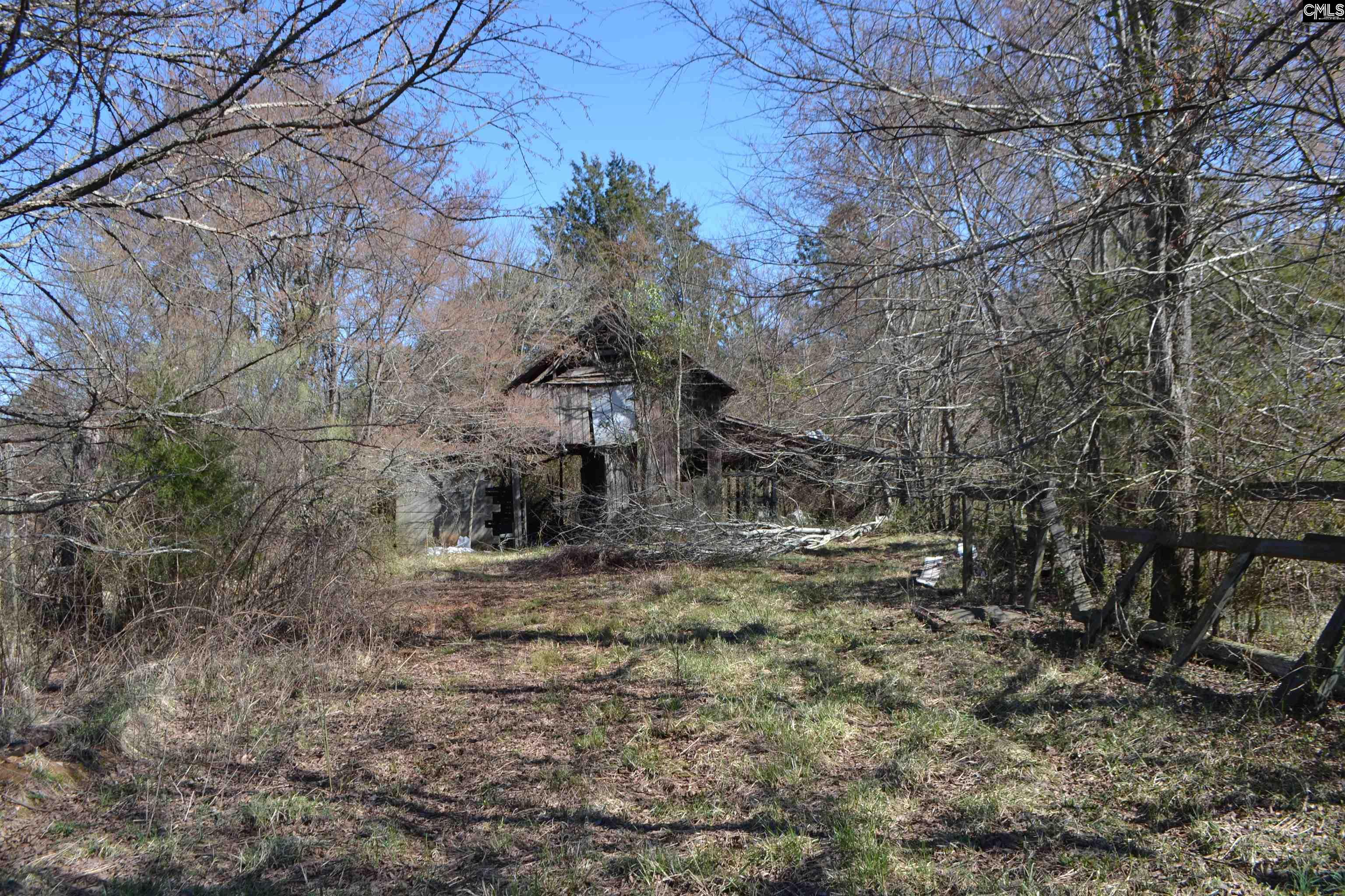 105 Walter Mccartha Road, Chapin, South Carolina image 7