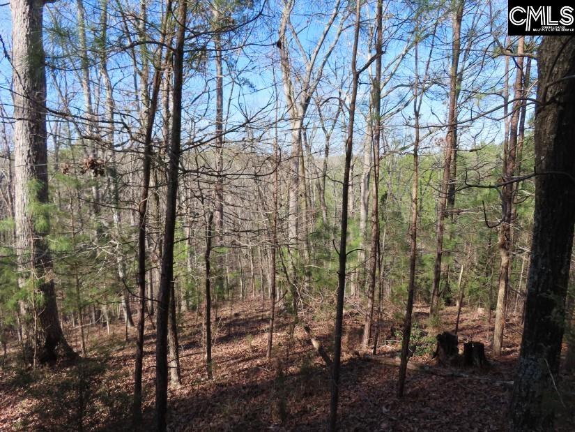 Sc Highway Winnsboro, SC 29180