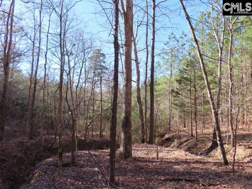 Sc 200 Highway, Winnsboro, South Carolina image 2