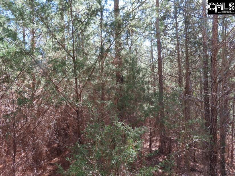 Sc 200 Highway, Winnsboro, South Carolina image 12