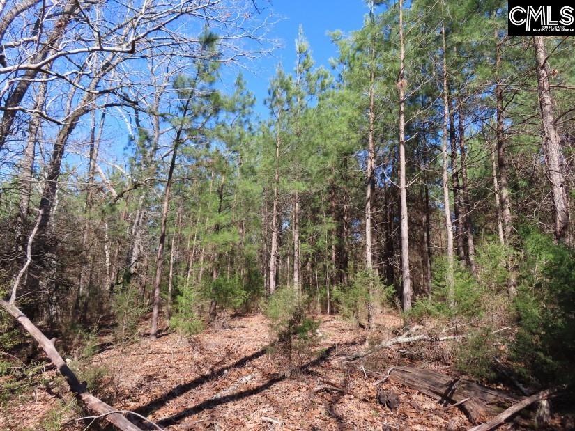 Sc 200 Highway, Winnsboro, South Carolina image 14