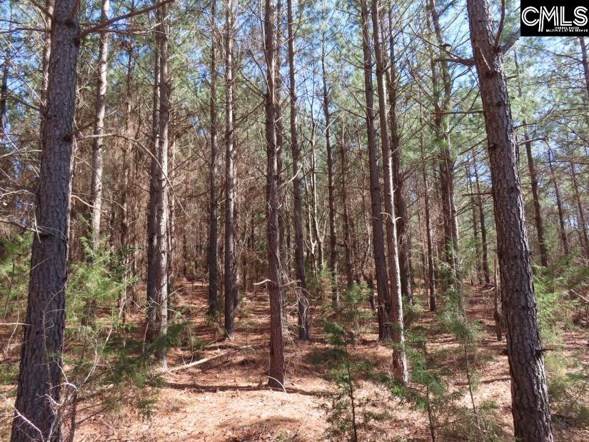 Sc 200 Highway, Winnsboro, South Carolina image 15