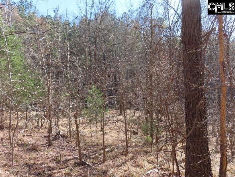 Sc 200 Highway, Winnsboro, South Carolina image 17