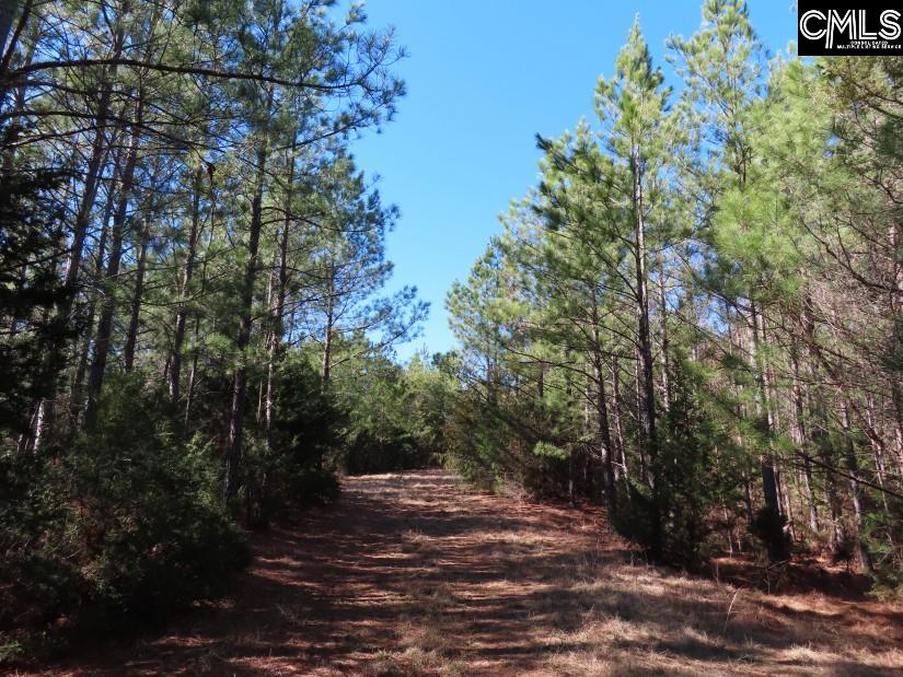 Sc 200 Highway, Winnsboro, South Carolina image 18